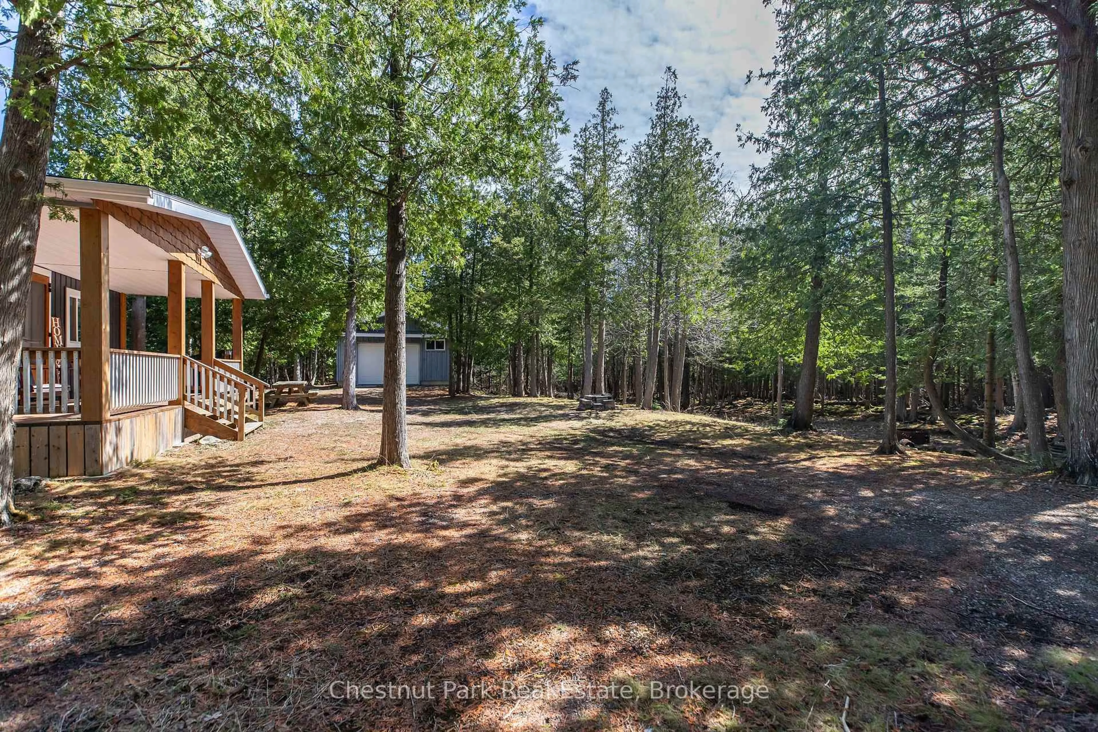 A pic from outside/outdoor area/front of a property/back of a property/a pic from drone, forest/trees view for 6760 Highway 6, Northern Bruce Peninsula Ontario N0H 2R0