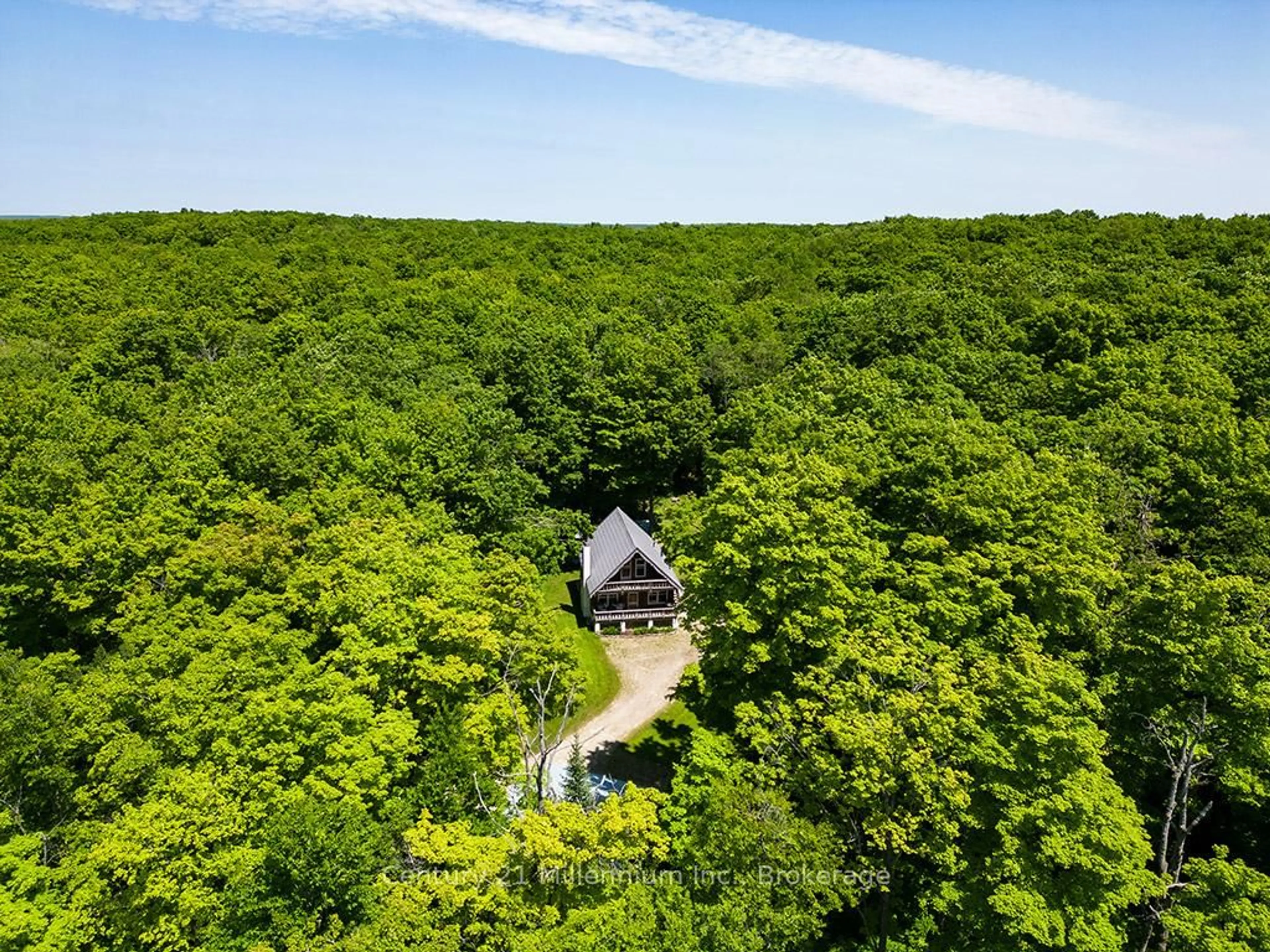 A pic from outside/outdoor area/front of a property/back of a property/a pic from drone, forest/trees view for 495115 Grey 2 Rd, Blue Mountains Ontario N0H 2E0