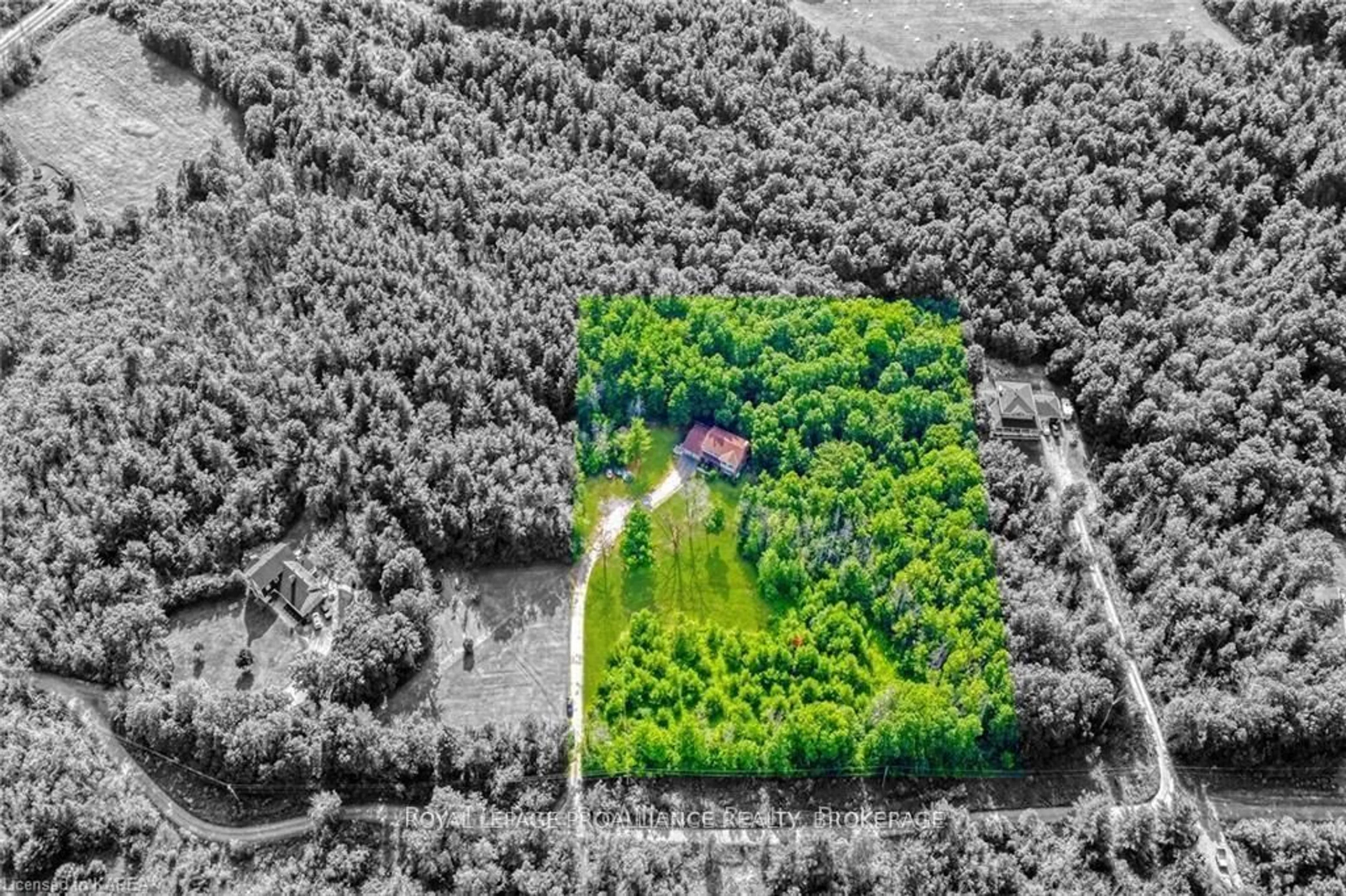 A pic from outside/outdoor area/front of a property/back of a property/a pic from drone, forest/trees view for 1081 KNIGHT'S Lane, Mcdonalds Corners Ontario K0H 1M0