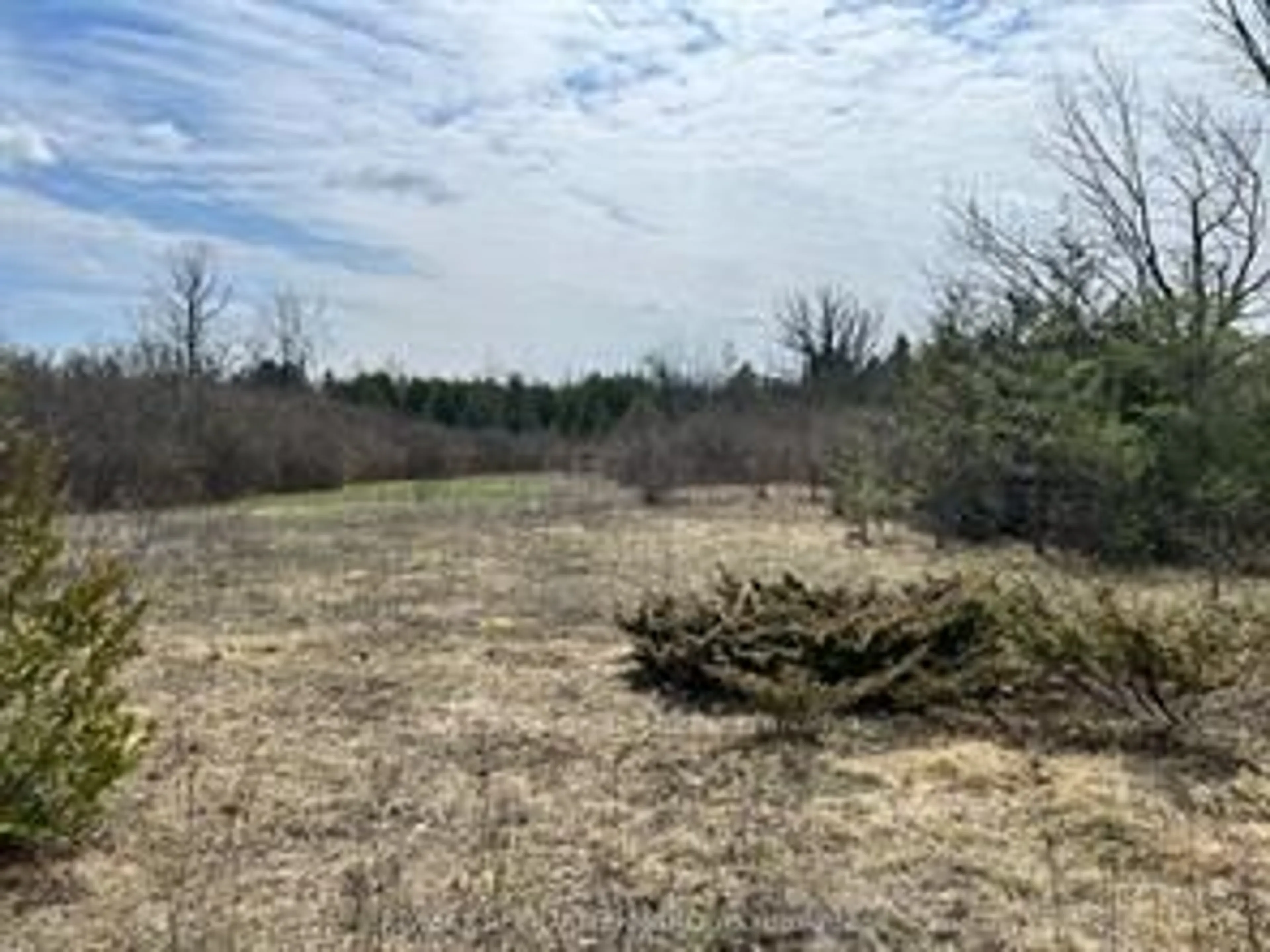 A pic from outside/outdoor area/front of a property/back of a property/a pic from drone, forest/trees view for Lot 138 Bourne Rd, Smiths Falls Ontario K7A 4S7