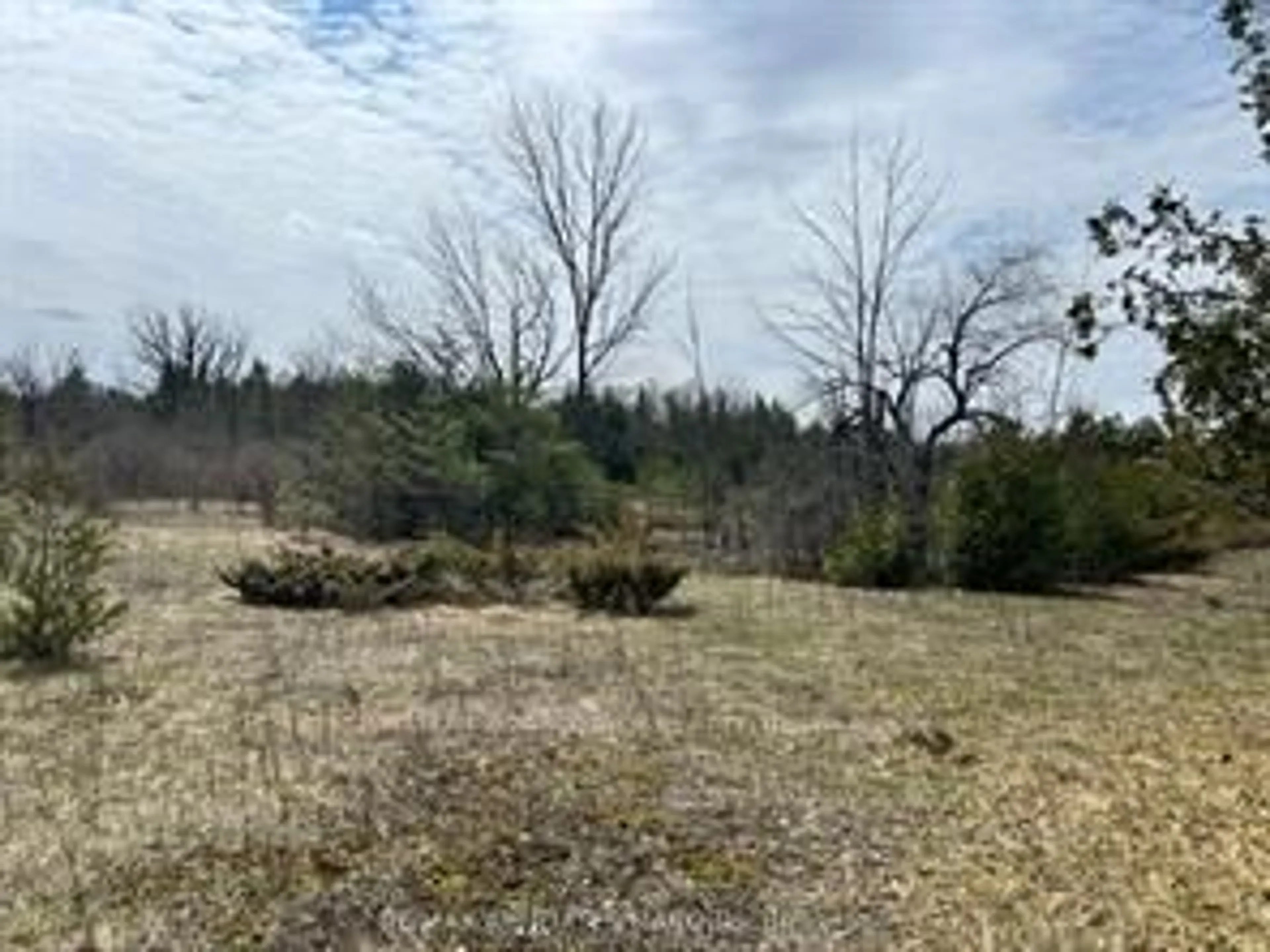 A pic from outside/outdoor area/front of a property/back of a property/a pic from drone, forest/trees view for Lot 138 Bourne Rd, Smiths Falls Ontario K7A 4S7