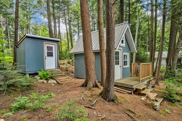 852 Isl 8 Catchacoma Lake Island, Trent Lakes 3