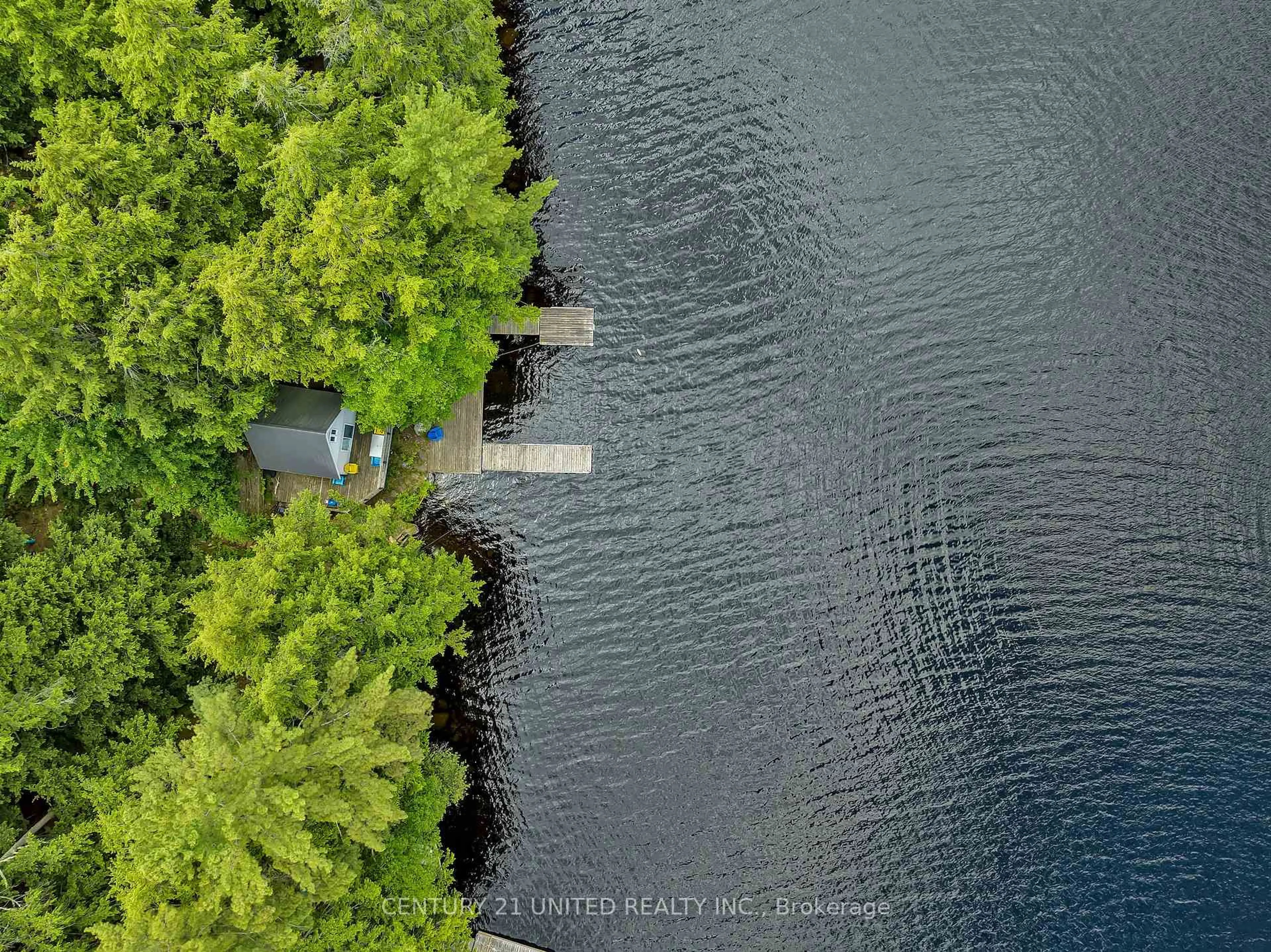 A pic from outside/outdoor area/front of a property/back of a property/a pic from drone, water/lake/river/ocean view for 852 Isl 8 Catchacoma Lake Island, Trent Lakes Ontario K0L 1J0