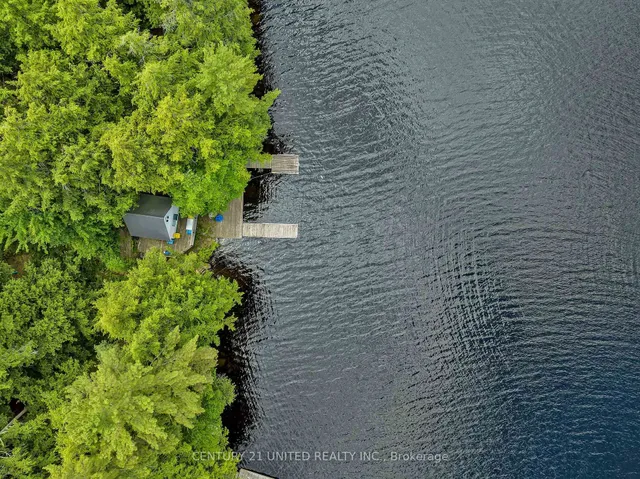 852 Isl 8 Catchacoma Lake Island, Trent Lakes 4