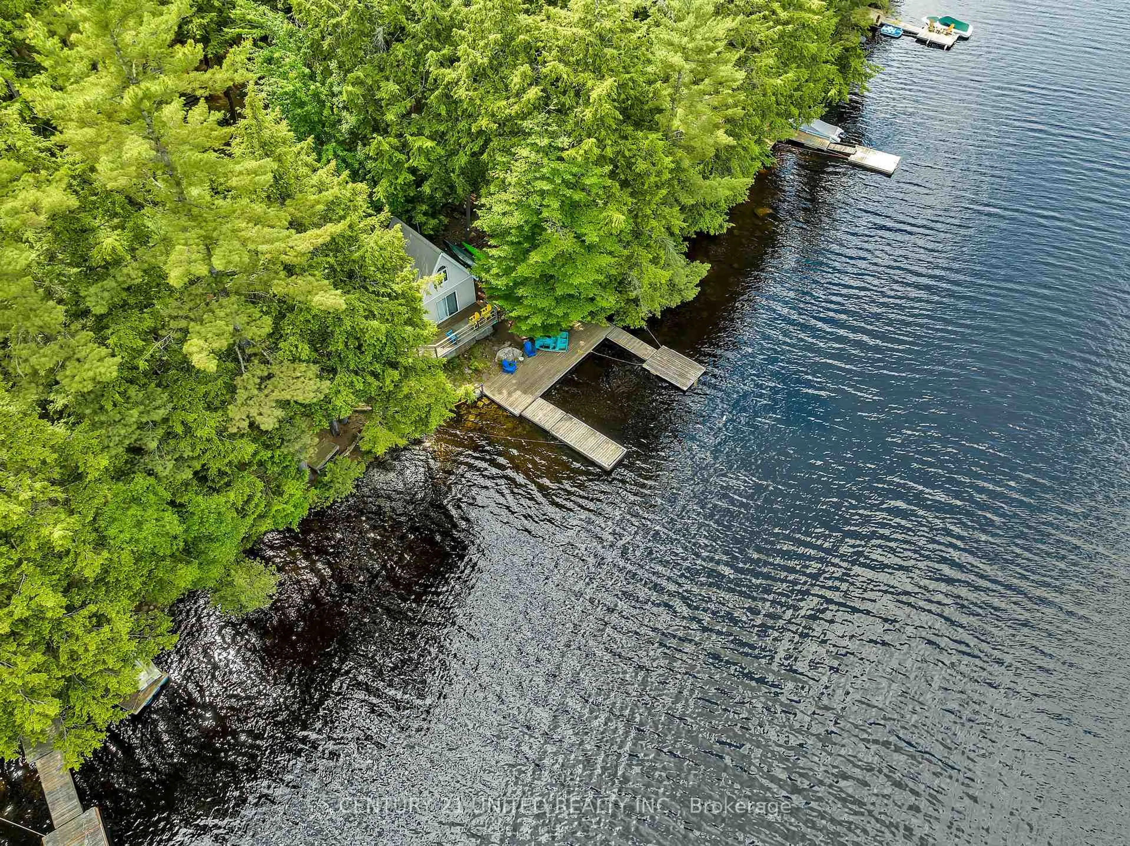 A pic from outside/outdoor area/front of a property/back of a property/a pic from drone, water/lake/river/ocean view for 852 Isl 8 Catchacoma Lake Island, Trent Lakes Ontario K0L 1J0
