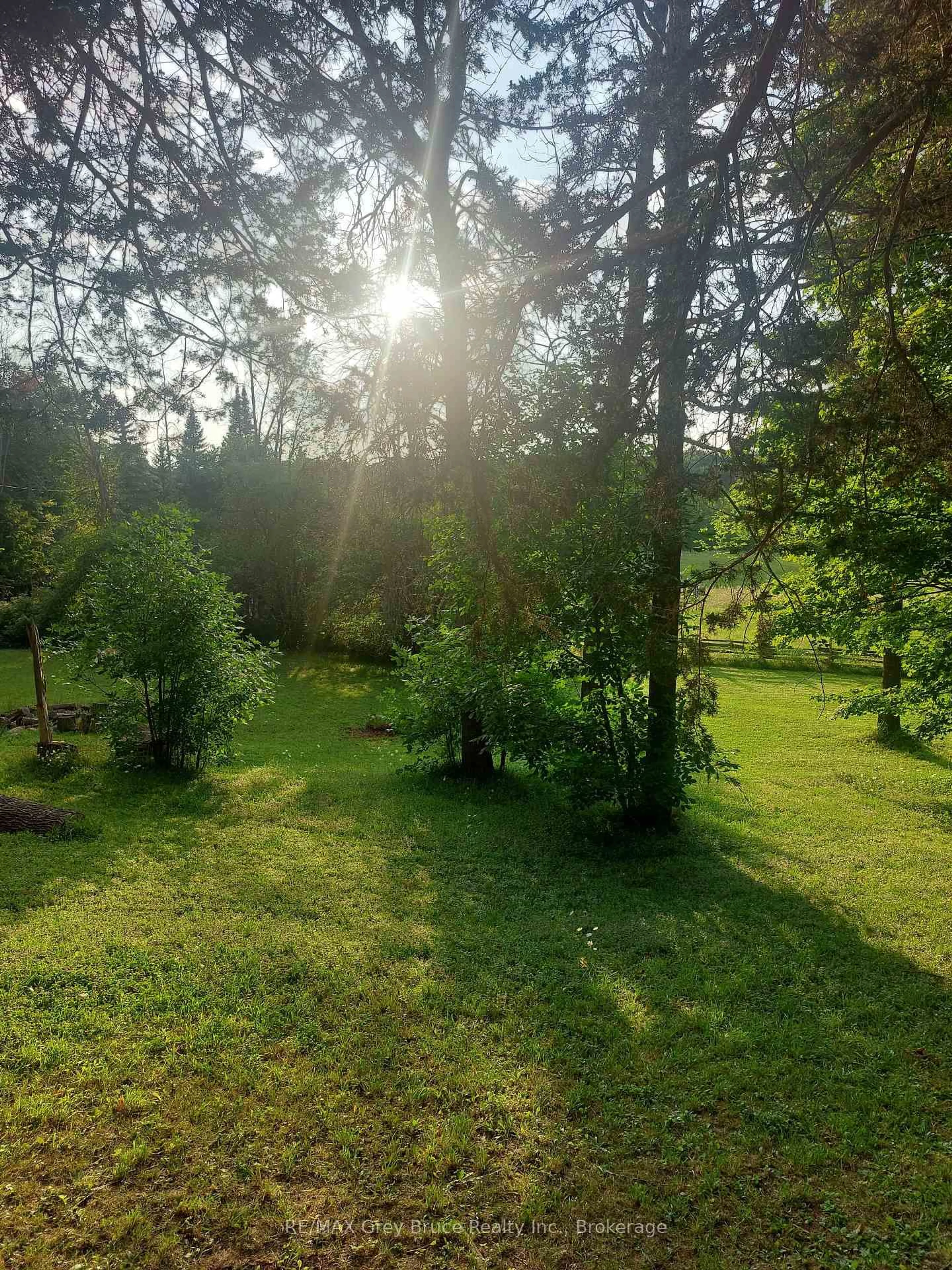 A pic from outside/outdoor area/front of a property/back of a property/a pic from drone, forest/trees view for 130 Crooked Hill Rd, South Bruce Peninsula Ontario N0H 1A0