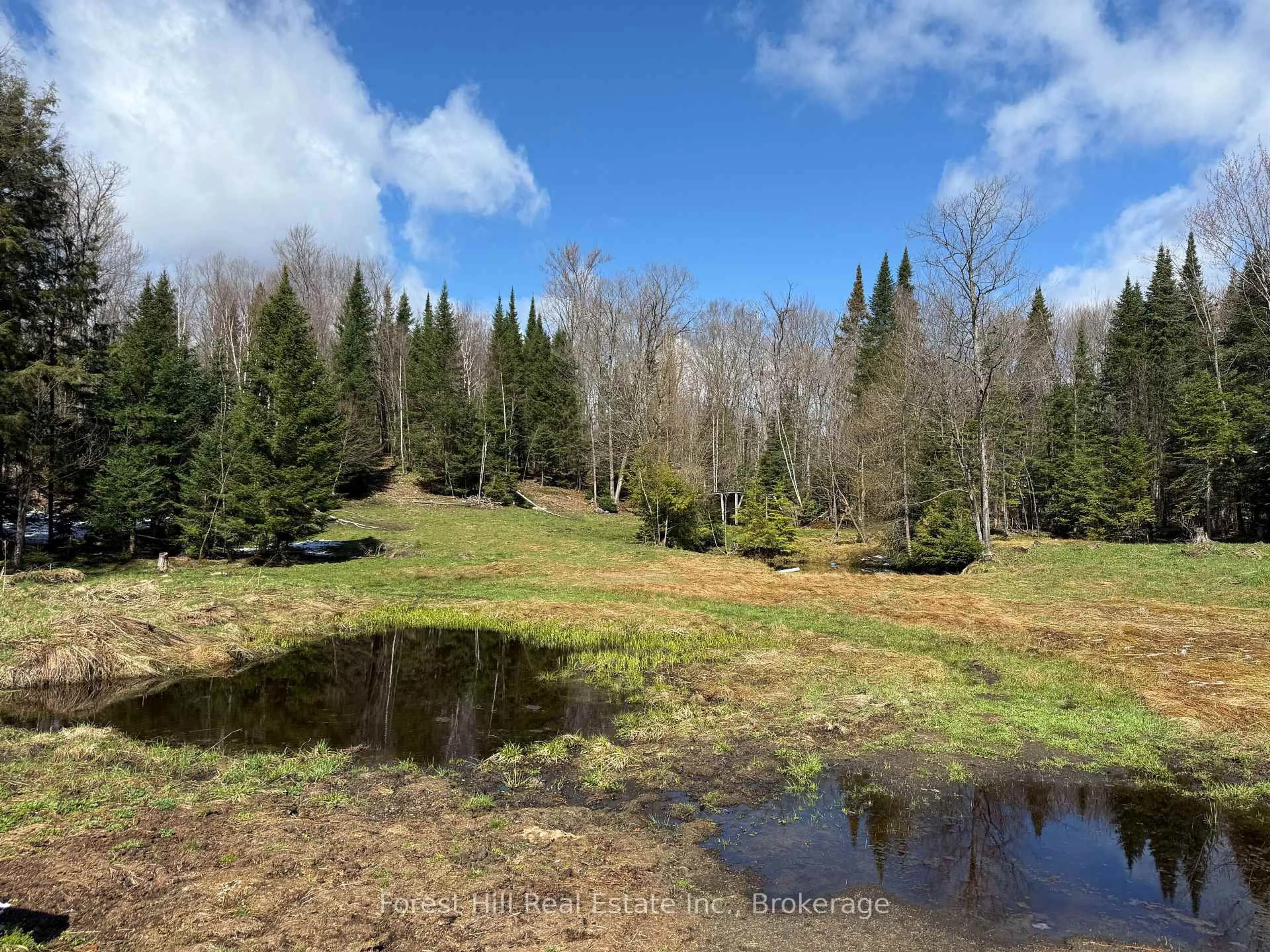 A pic from outside/outdoor area/front of a property/back of a property/a pic from drone, forest/trees view for 940 Fern Glen Rd, Perry Ontario P0A 1J0
