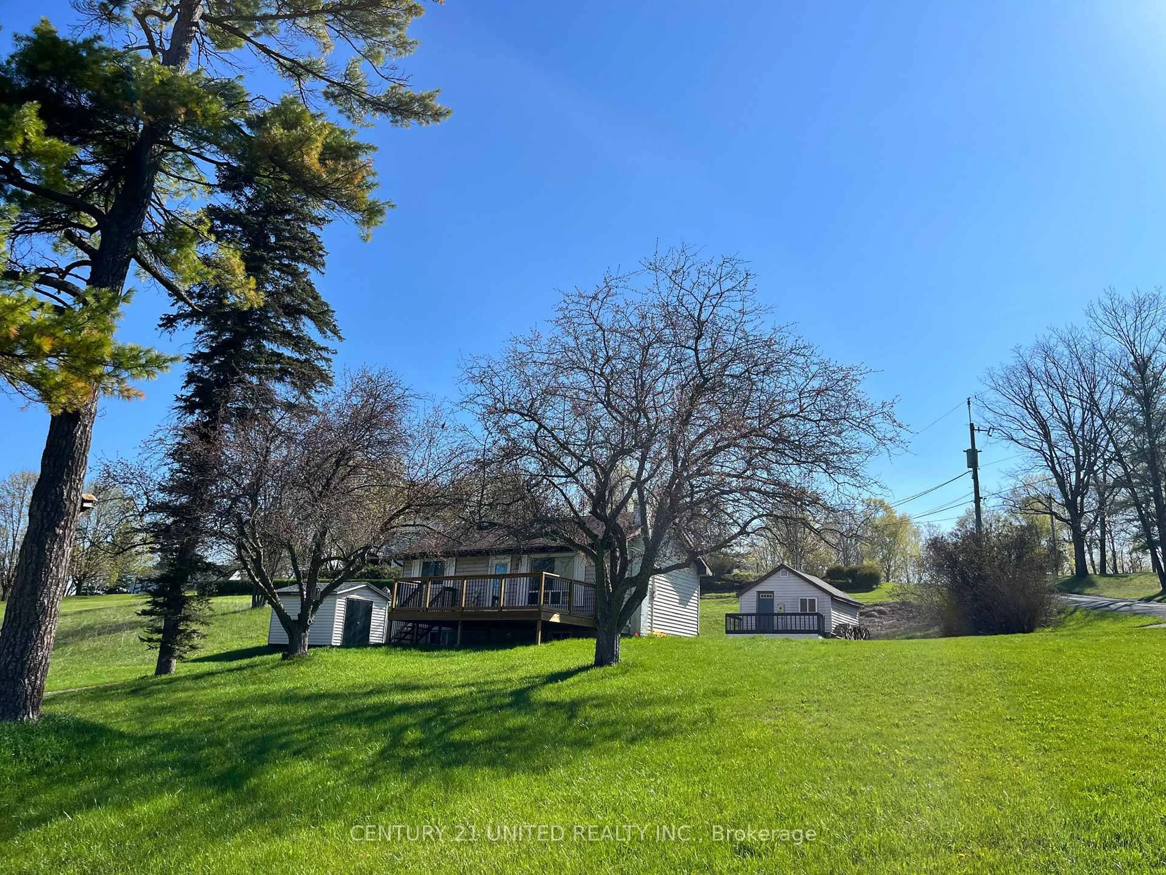 A pic from outside/outdoor area/front of a property/back of a property/a pic from drone, forest/trees view for 345 Victoria St, Trent Hills Ontario K0L 1L0