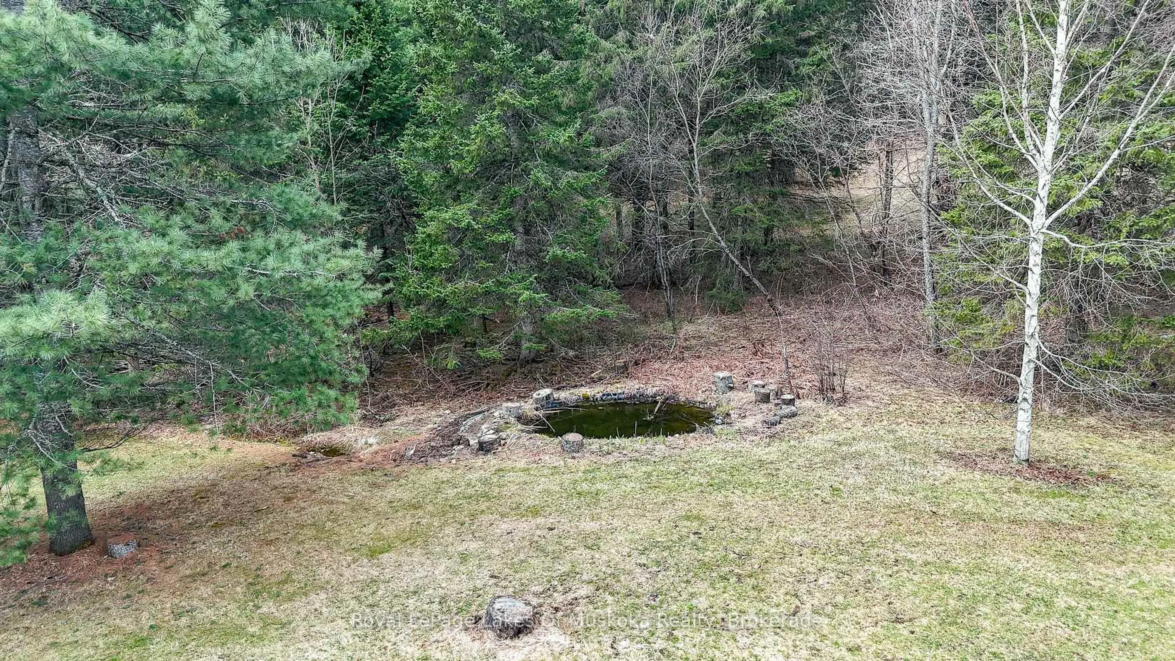 A pic from outside/outdoor area/front of a property/back of a property/a pic from drone, forest/trees view for 19 Glencairn Cres, Huntsville Ontario P1H 2J4