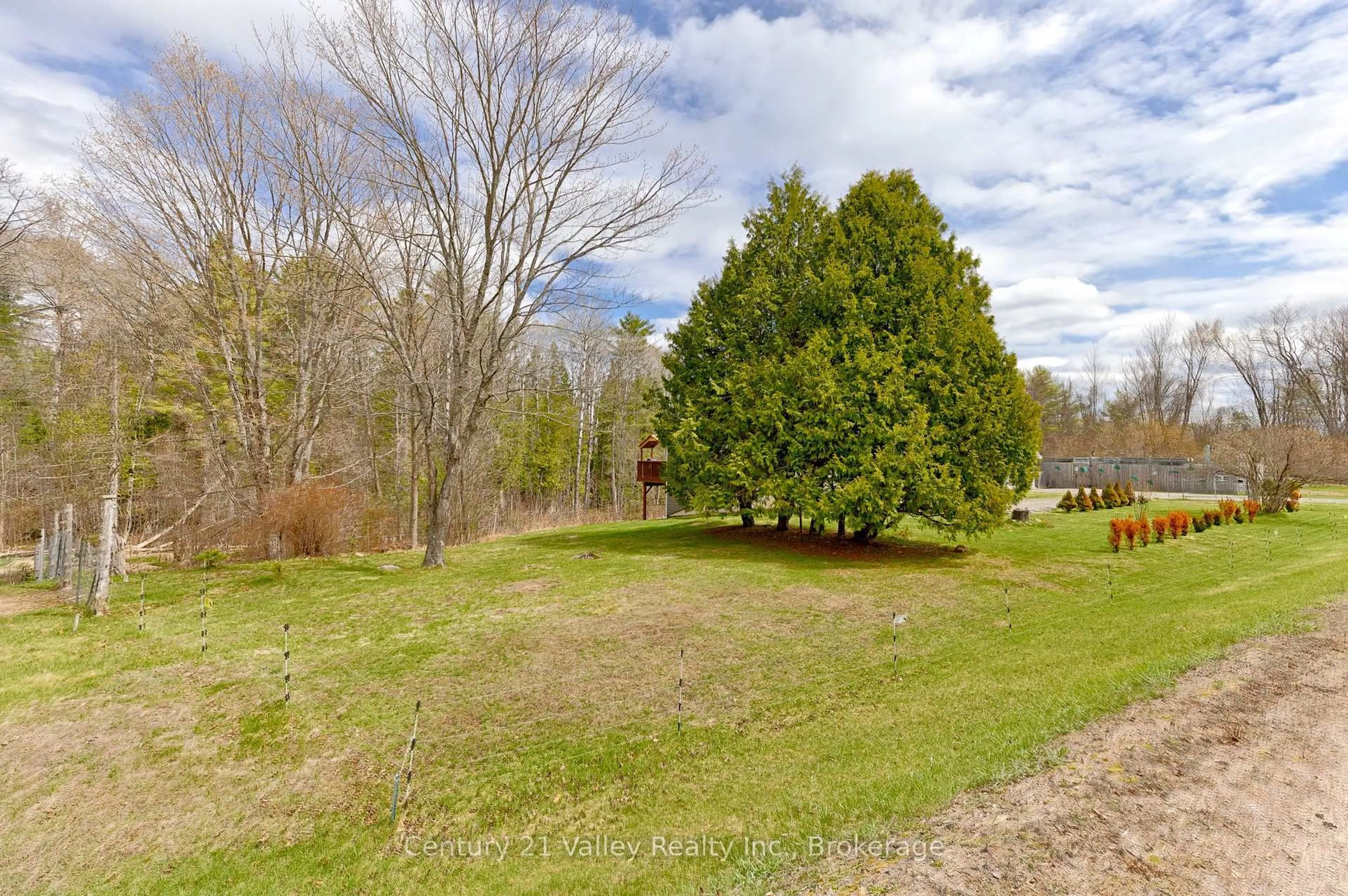 A pic from outside/outdoor area/front of a property/back of a property/a pic from drone, forest/trees view for 6196 132 Highway, Dacre Ontario K0J 1N0
