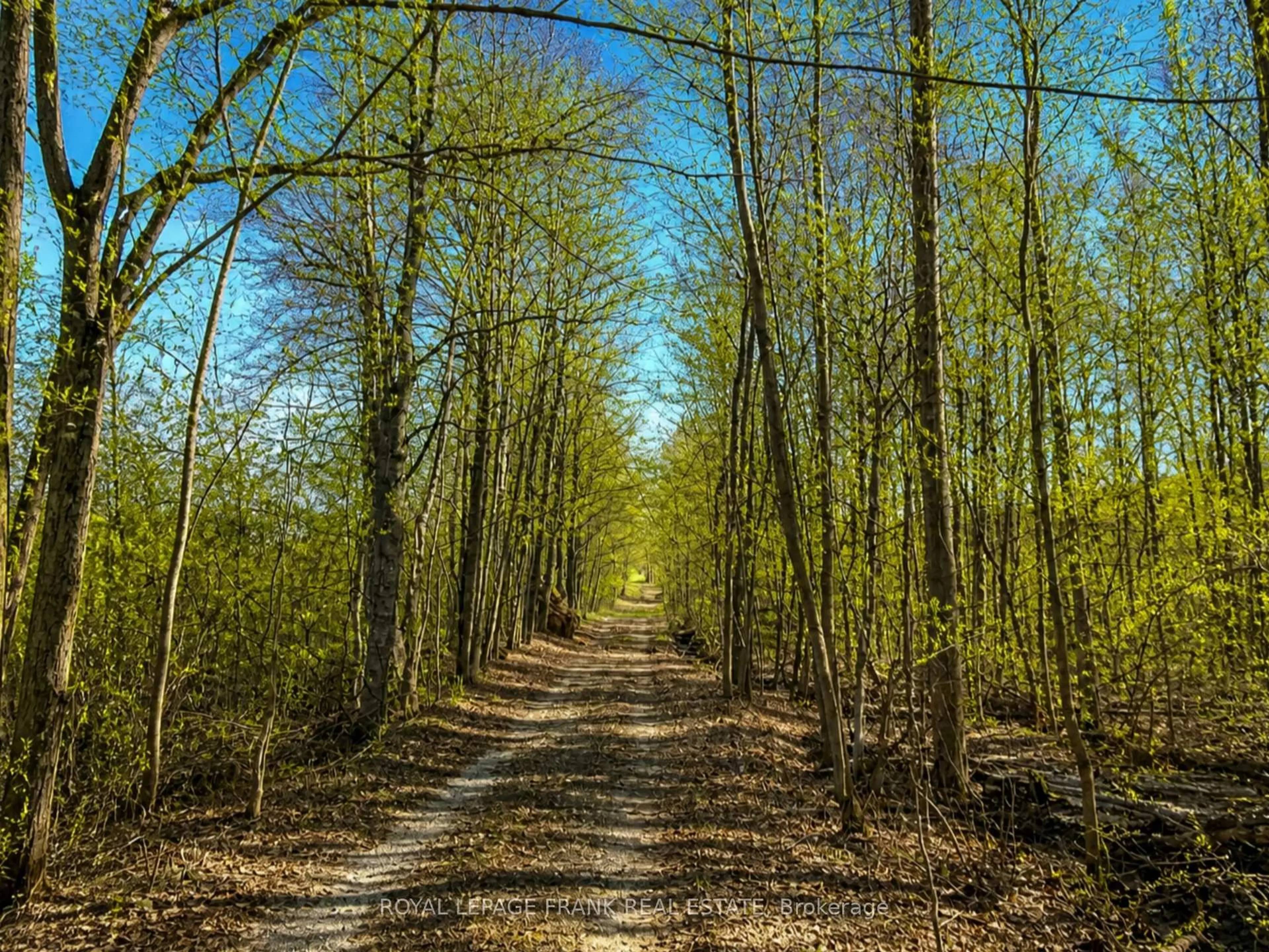 Blurry image for 929 Baxter Rd, Trent Hills Ontario K0L 1Y0
