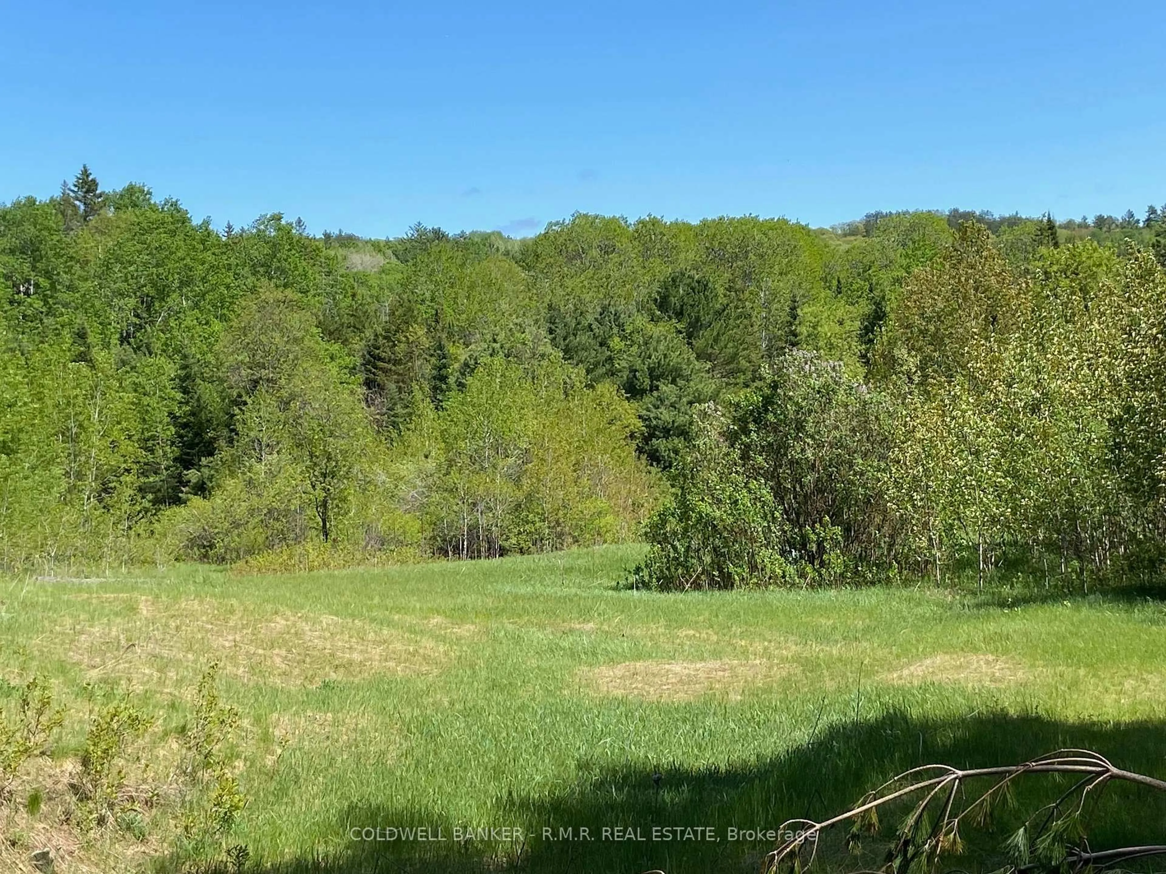 A pic from outside/outdoor area/front of a property/back of a property/a pic from drone, forest/trees view for 1274 Holland Lake Rd, Bancroft Ontario K0L 1C0