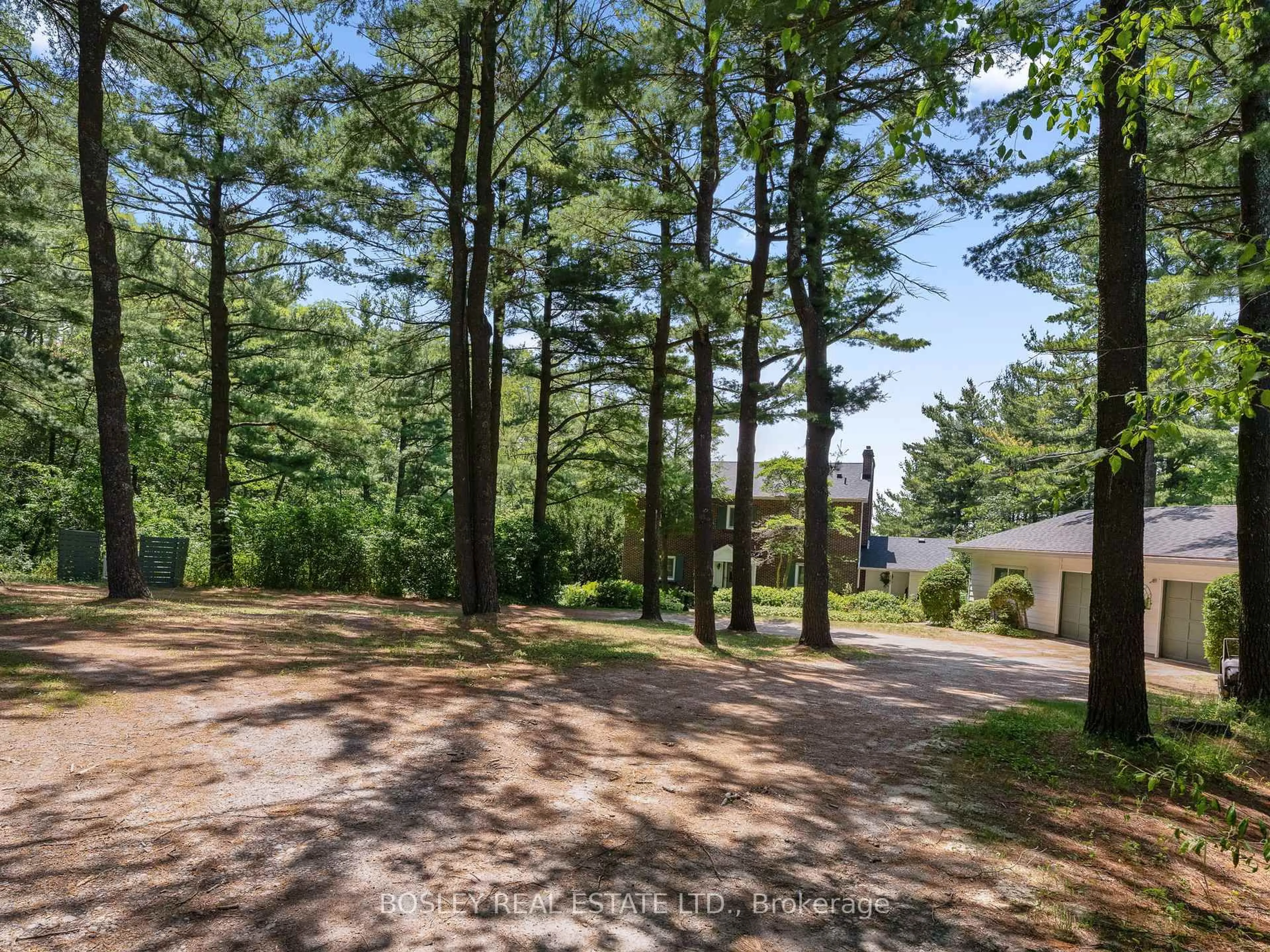 A pic from outside/outdoor area/front of a property/back of a property/a pic from drone, forest/trees view for 256 Wilson Dr, Alnwick/Haldimand Ontario K0K 1C0