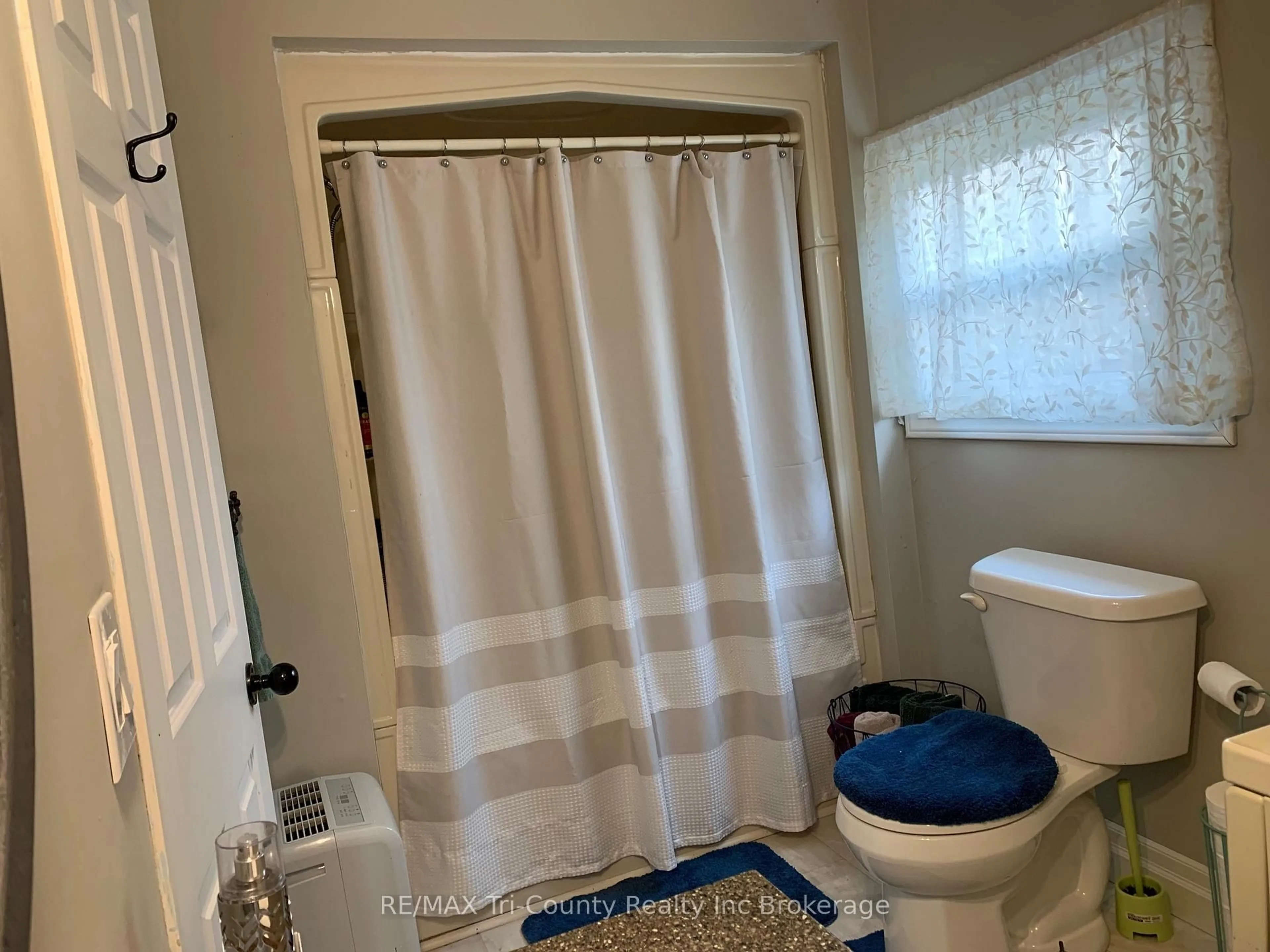 Standard bathroom, floor is not visible for 11 Elizabeth St, Bayham Ontario N0J 1T0