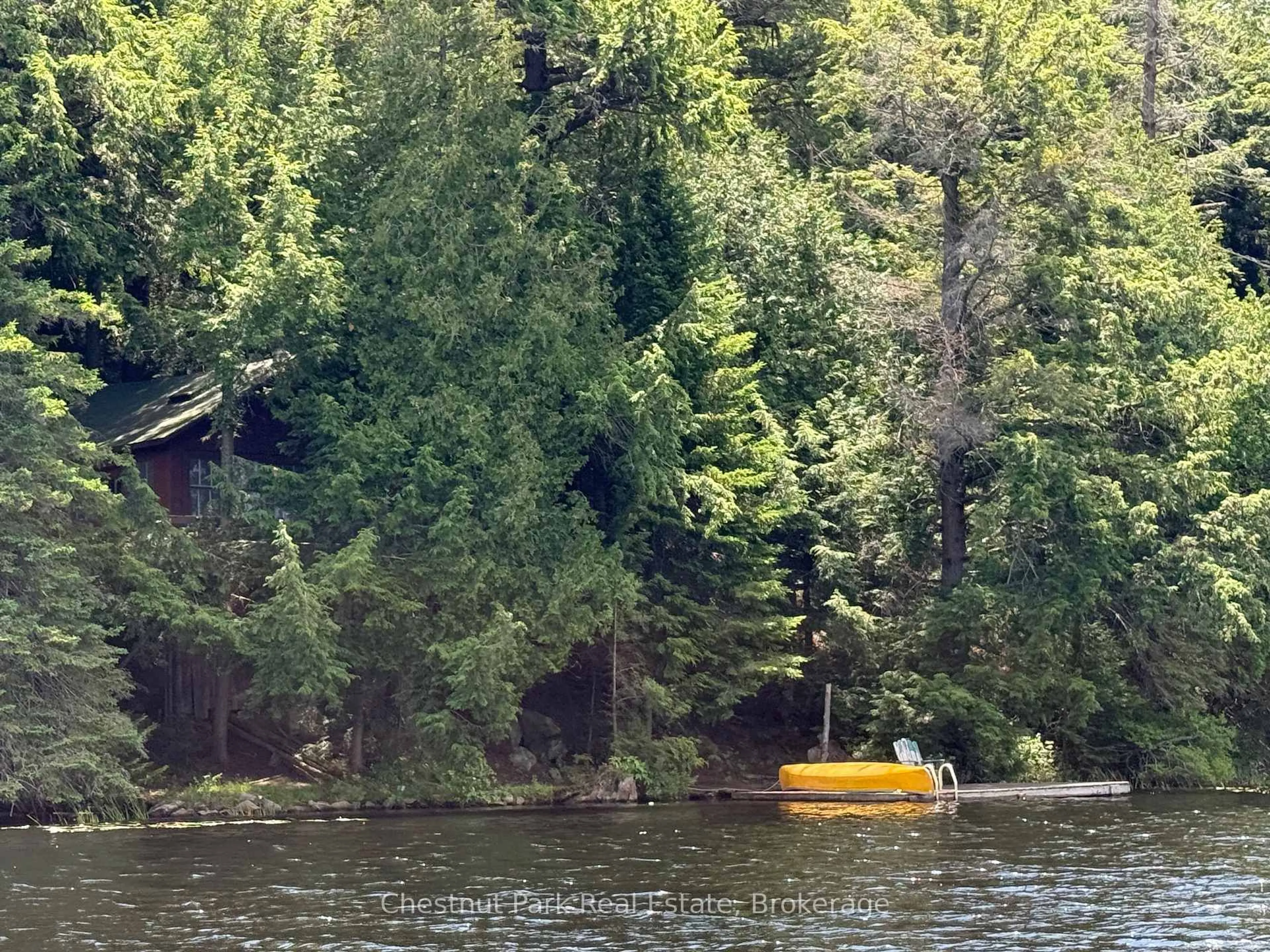 Blurry image for 19 Cache Lake #APL1136E, South Algonquin Ontario P0A 1H0