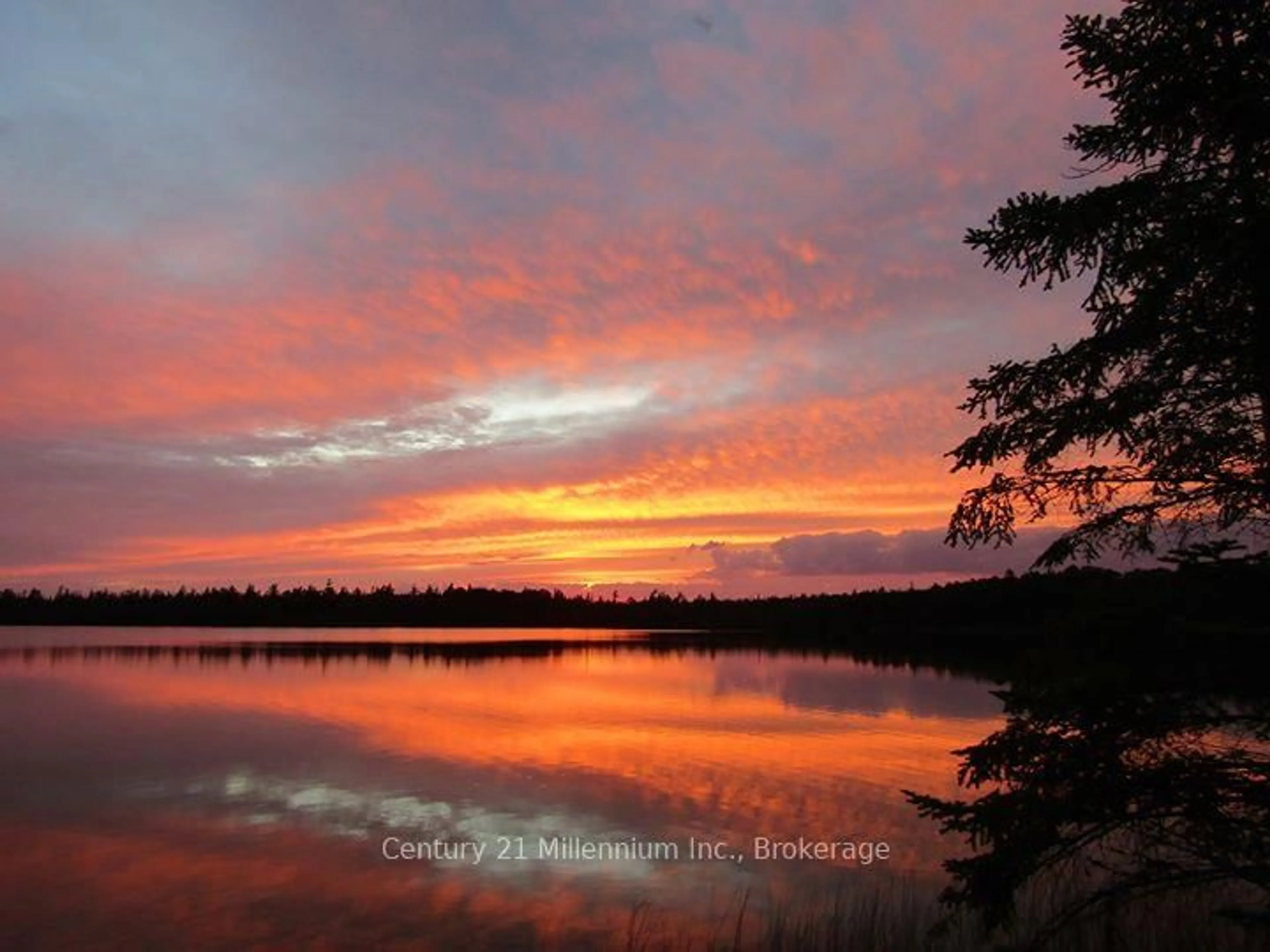 Blurry image for 80 Lakewood Country Lane, Northern Bruce Peninsula Ontario N0H 1W0