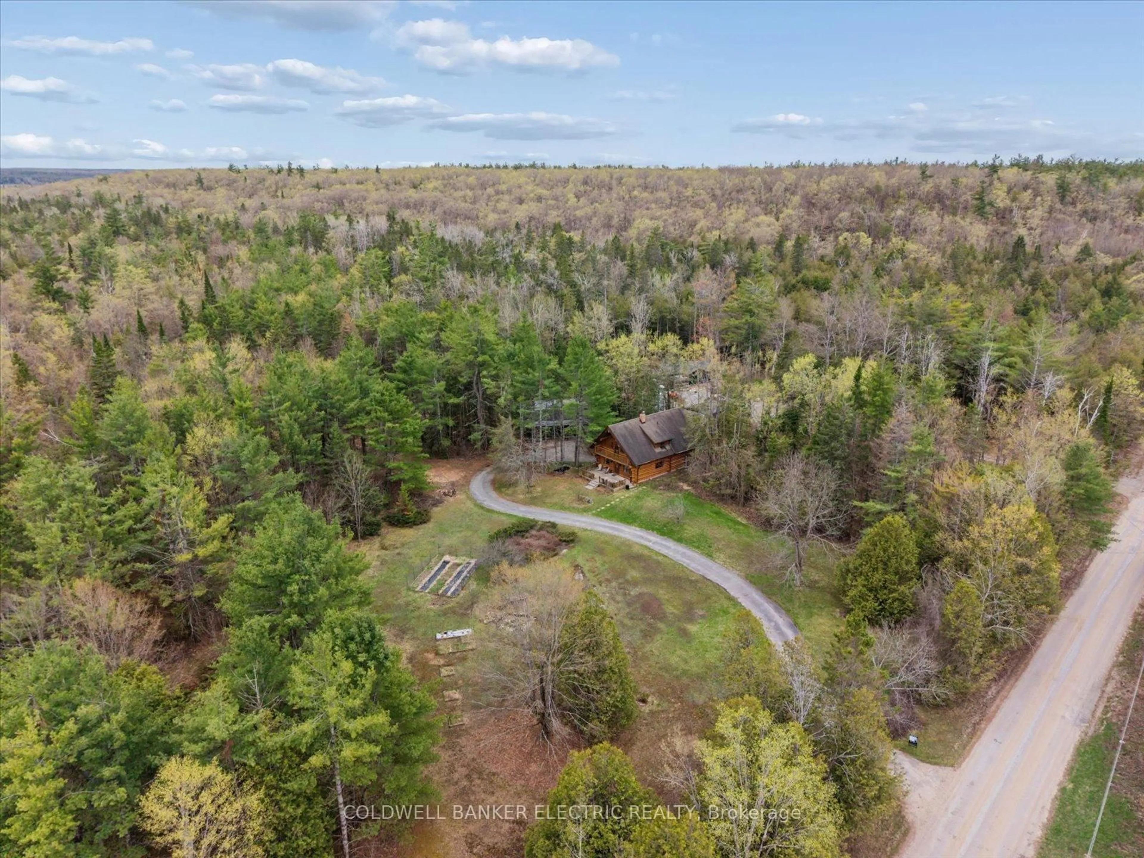 A pic from outside/outdoor area/front of a property/back of a property/a pic from drone, forest/trees view for 197 Hillside Dr, Kawartha Lakes Ontario K0M 1C0