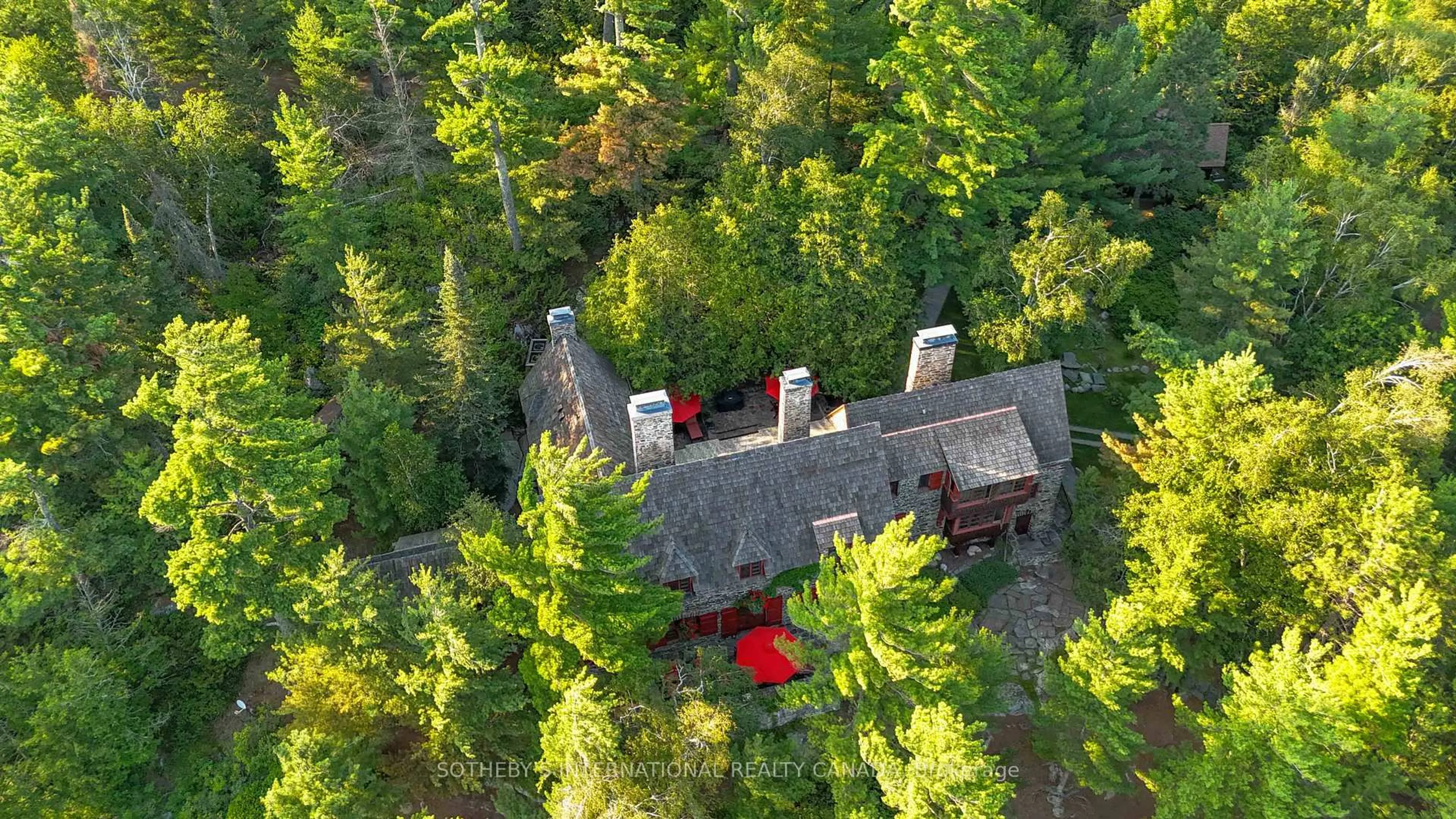 A pic from outside/outdoor area/front of a property/back of a property/a pic from drone, forest/trees view for 1 French Island, Rainy River Ontario P0W 1L0