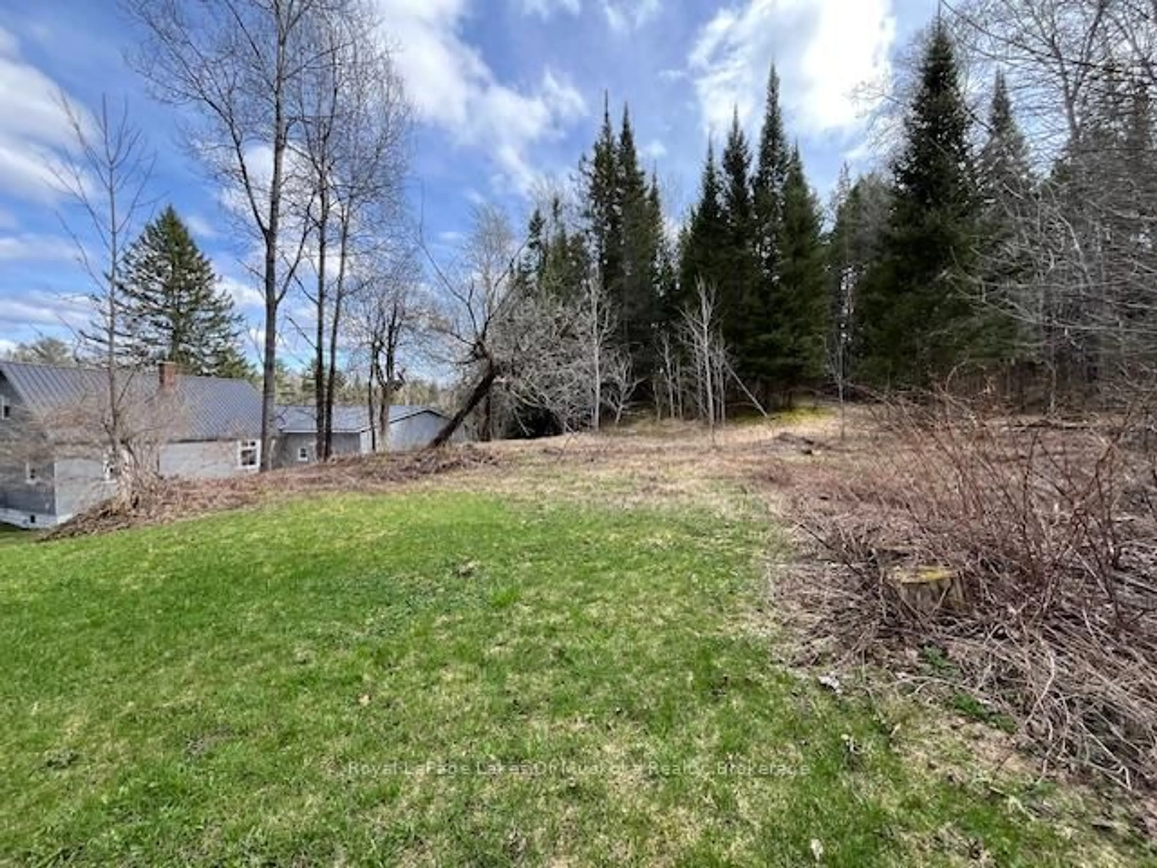 A pic from outside/outdoor area/front of a property/back of a property/a pic from drone, forest/trees view for 319 Ontario St, Burk's Falls Ontario P0A 1C0