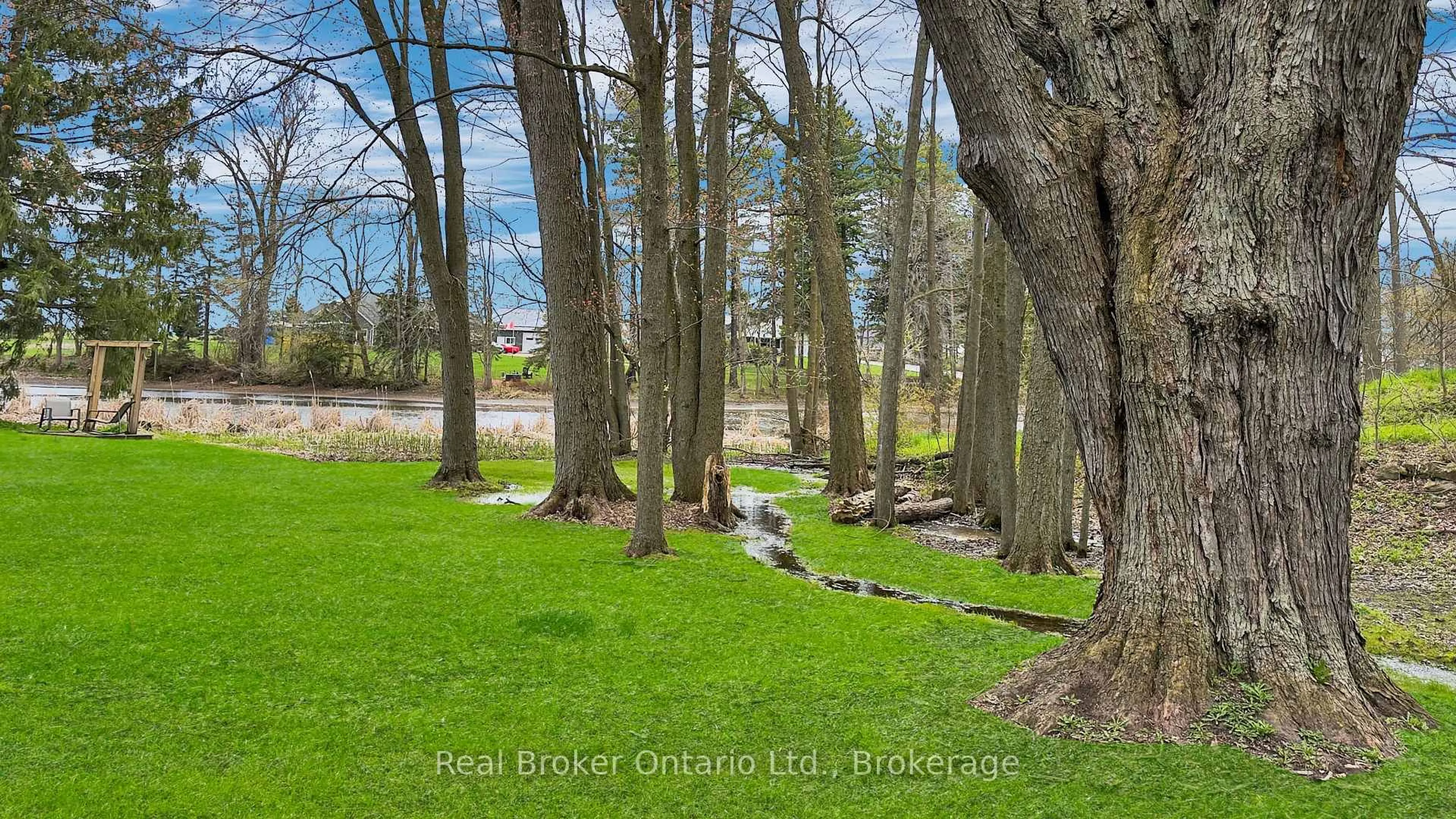 A pic from outside/outdoor area/front of a property/back of a property/a pic from drone, forest/trees view for 485 Chepstow Rd, Brockton Ontario N0G 1K0