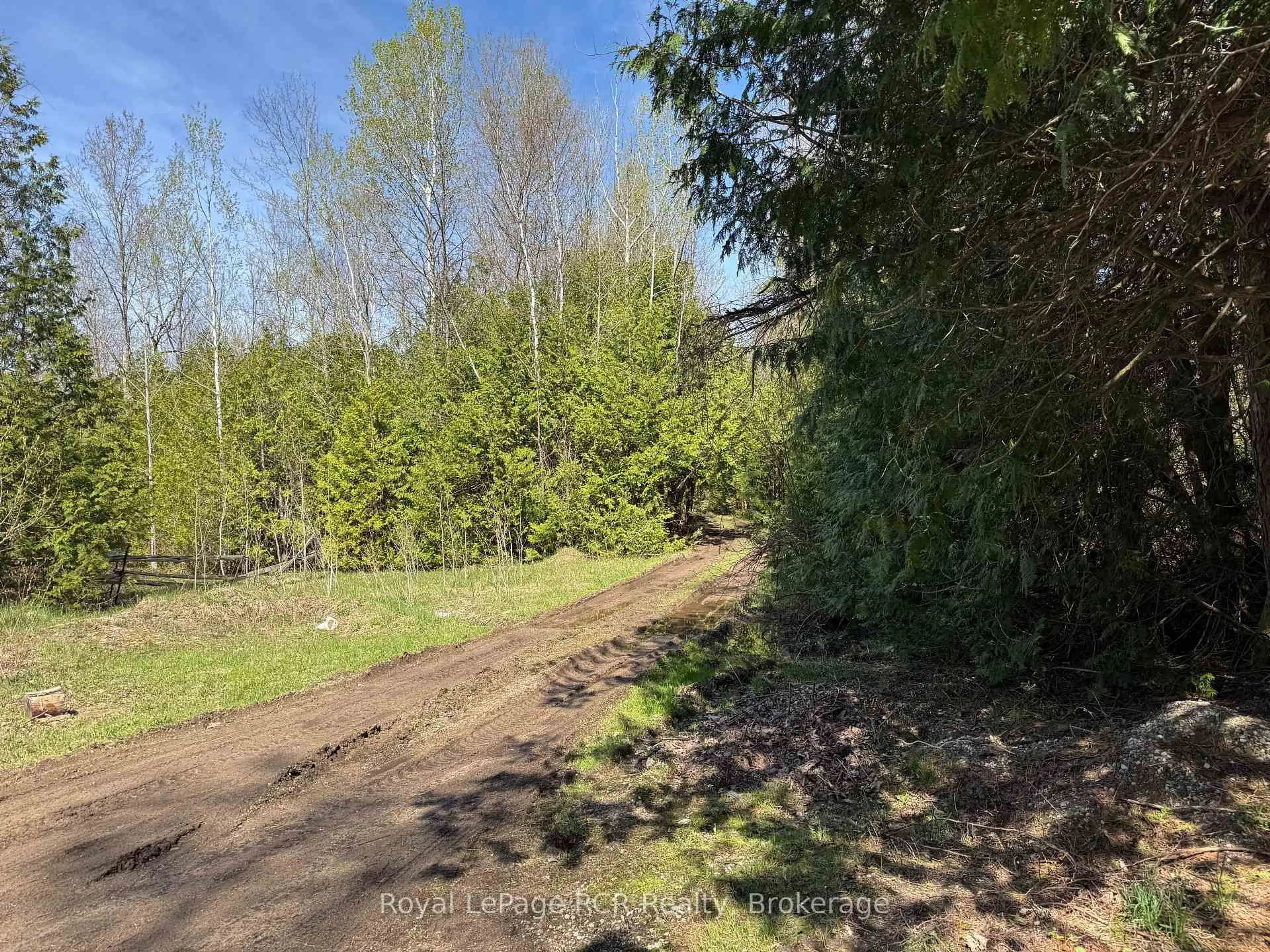 A pic from outside/outdoor area/front of a property/back of a property/a pic from drone, forest/trees view for 792 Bruce 14 Rd, South Bruce Peninsula Ontario N0H 2T0