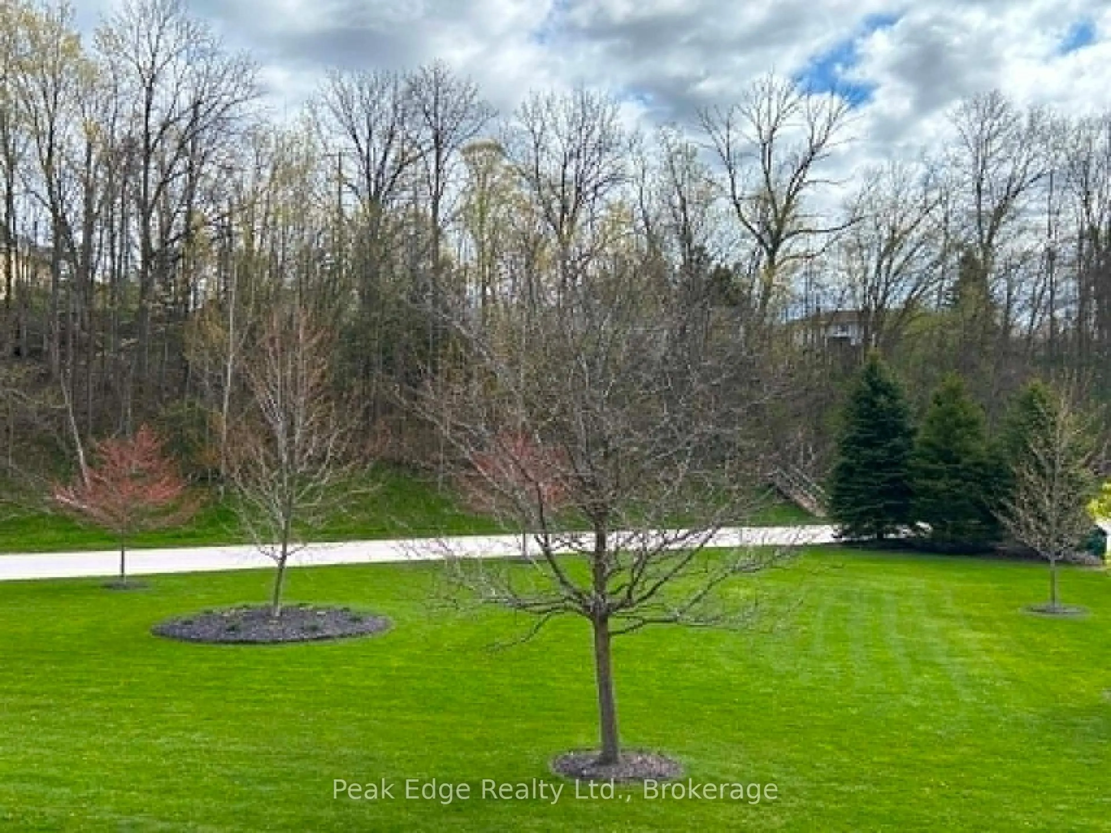 A pic from outside/outdoor area/front of a property/back of a property/a pic from drone, forest/trees view for 125 WILLIAM St #208, Brockton Ontario N0G 2V0
