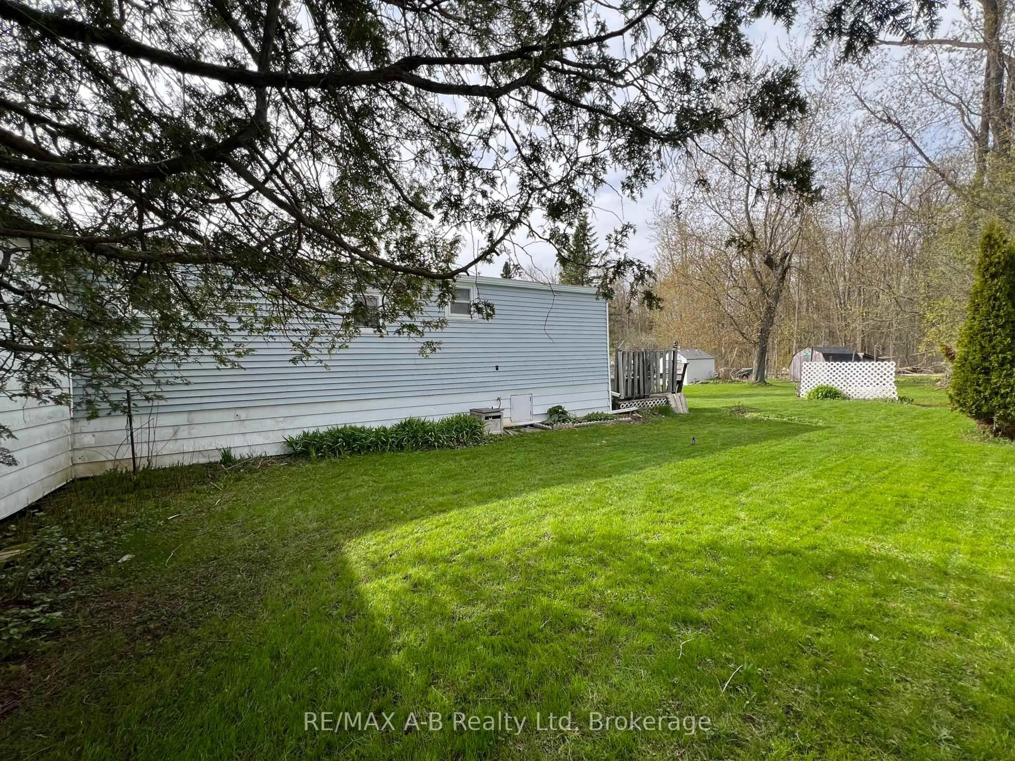 A pic from outside/outdoor area/front of a property/back of a property/a pic from drone, forest/trees view for 123 Ash St, Perth East Ontario N5A 6S6