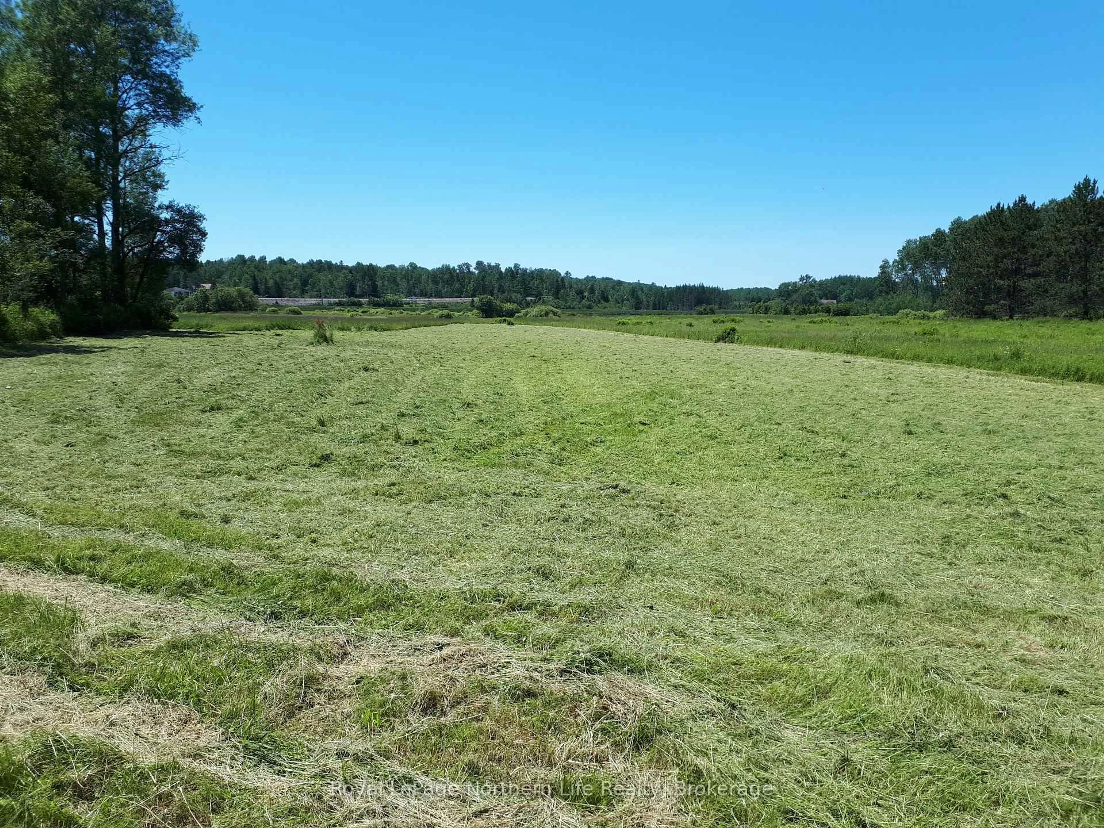 A pic from outside/outdoor area/front of a property/back of a property/a pic from drone, forest/trees view for 2642 A Highway 17, East Ferris Ontario P0H 1K0