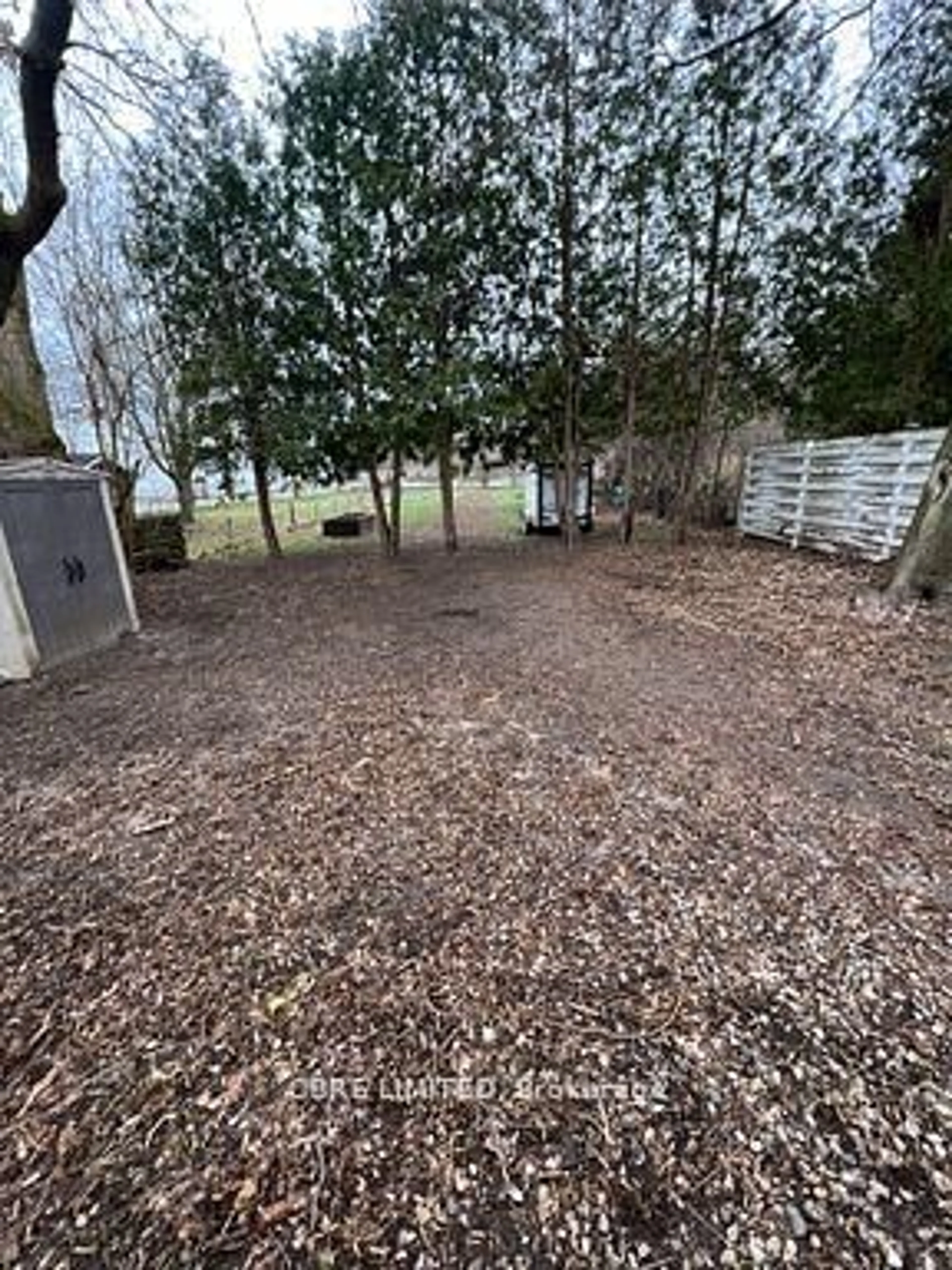 A pic from outside/outdoor area/front of a property/back of a property/a pic from drone, forest/trees view for 153 Hale St, London East Ontario N5W 1E5
