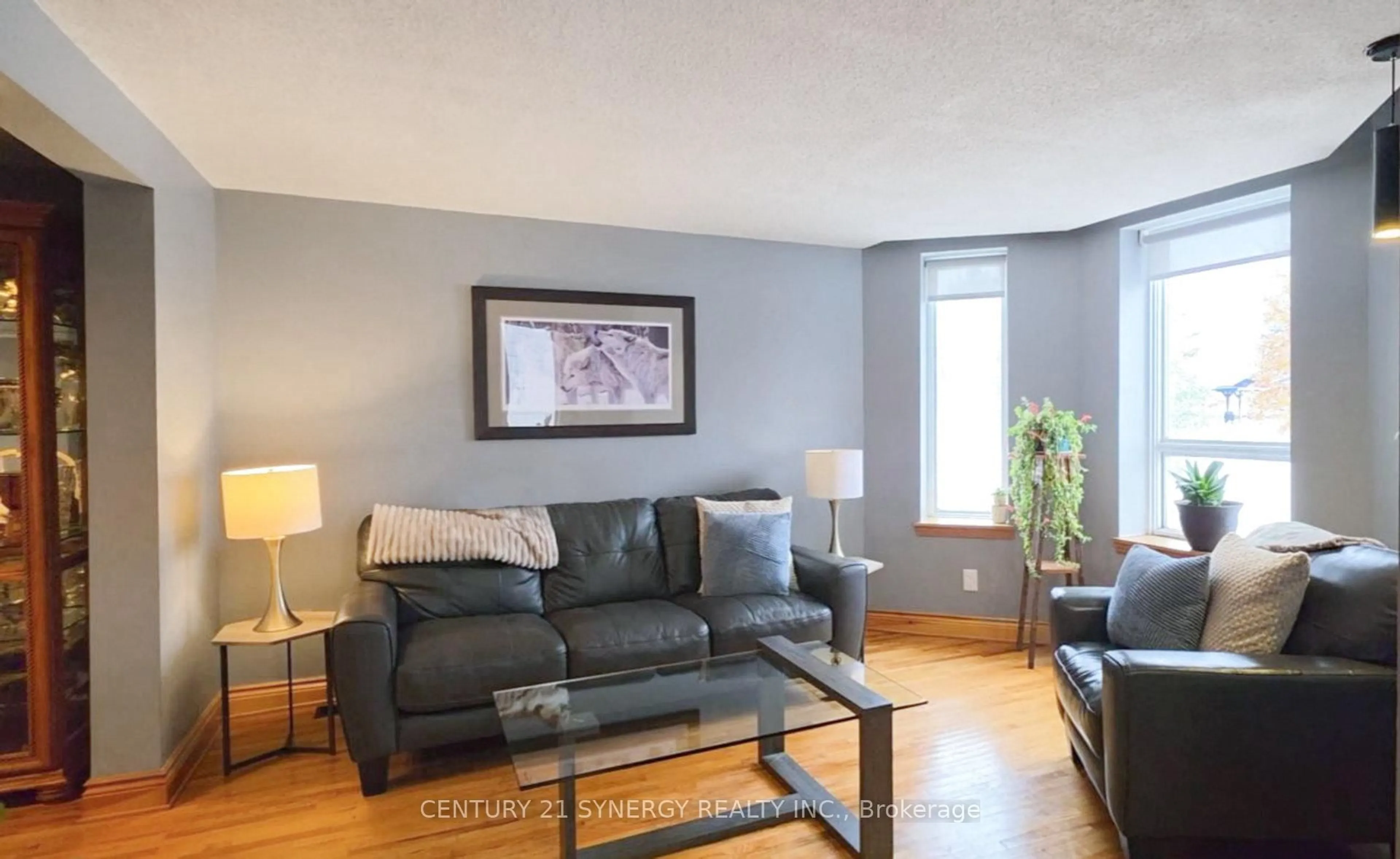 Living room with furniture, unknown for 13 Lombard St, Smiths Falls Ontario K7A 4E8