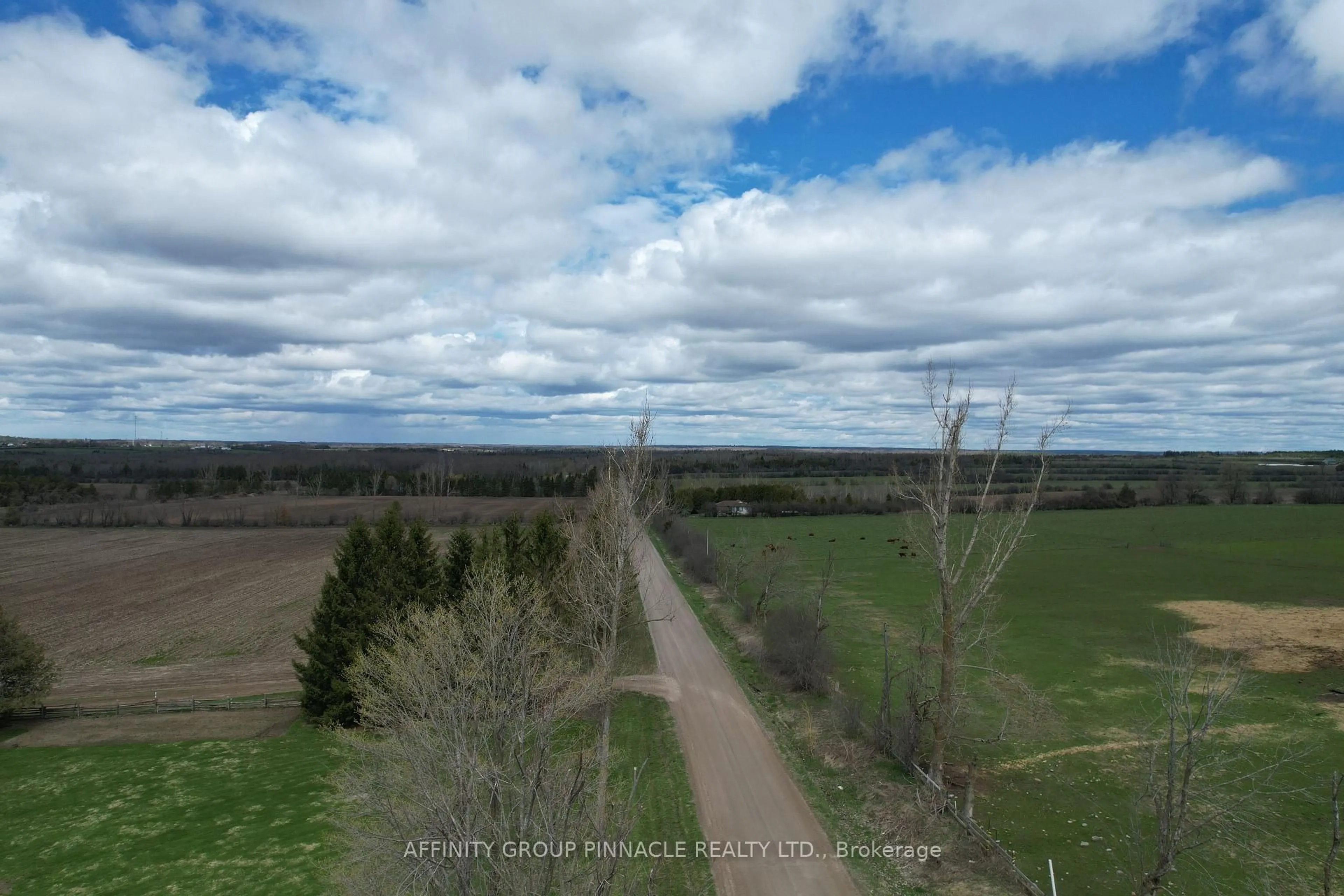 A pic from outside/outdoor area/front of a property/back of a property/a pic from drone, forest/trees view for 103 Kenstone Beach Rd, Kawartha Lakes Ontario K0M 1A0