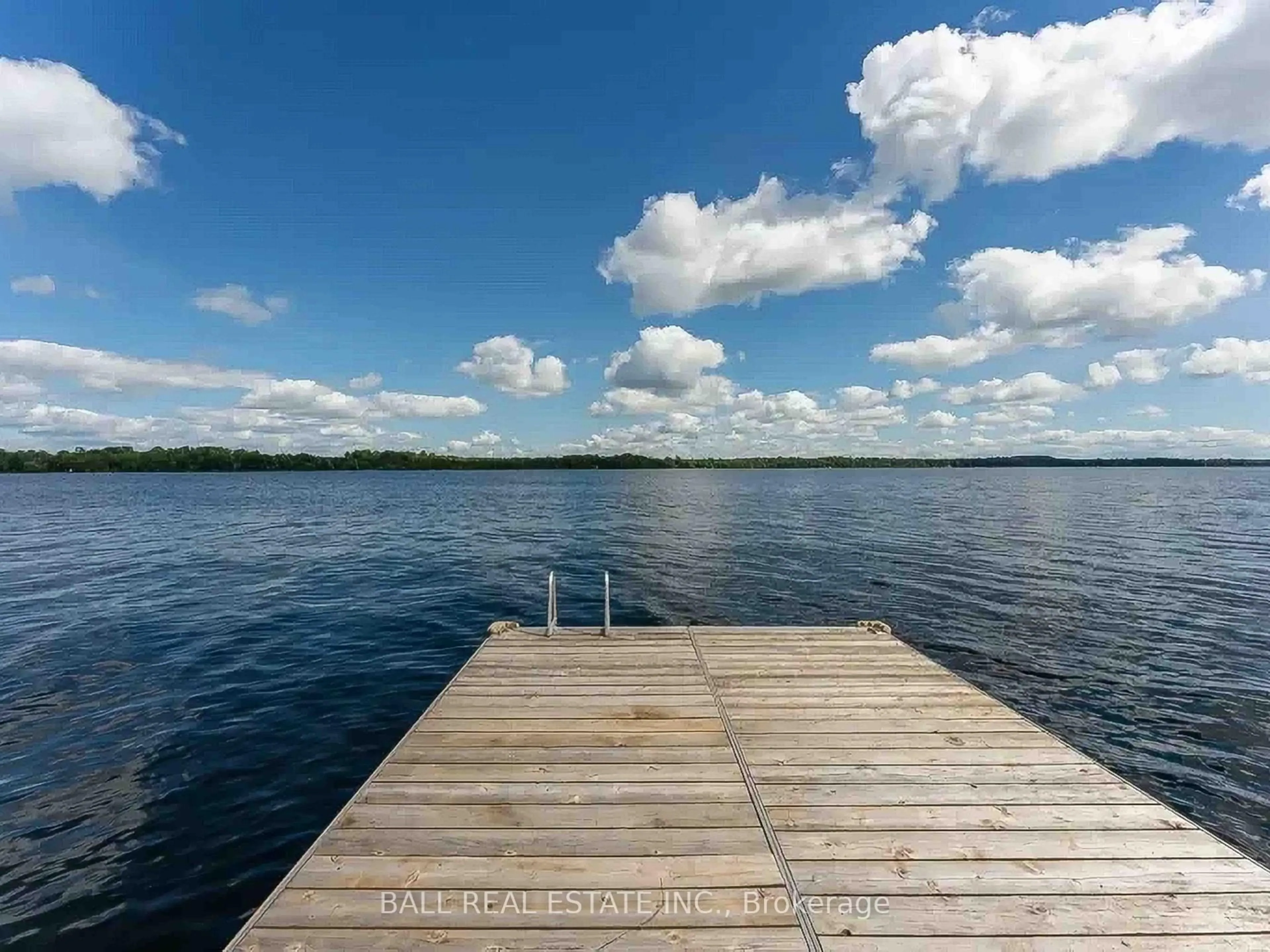 Unknown for 169 Fells Point Rd, Kawartha Lakes Ontario K0M 1N0