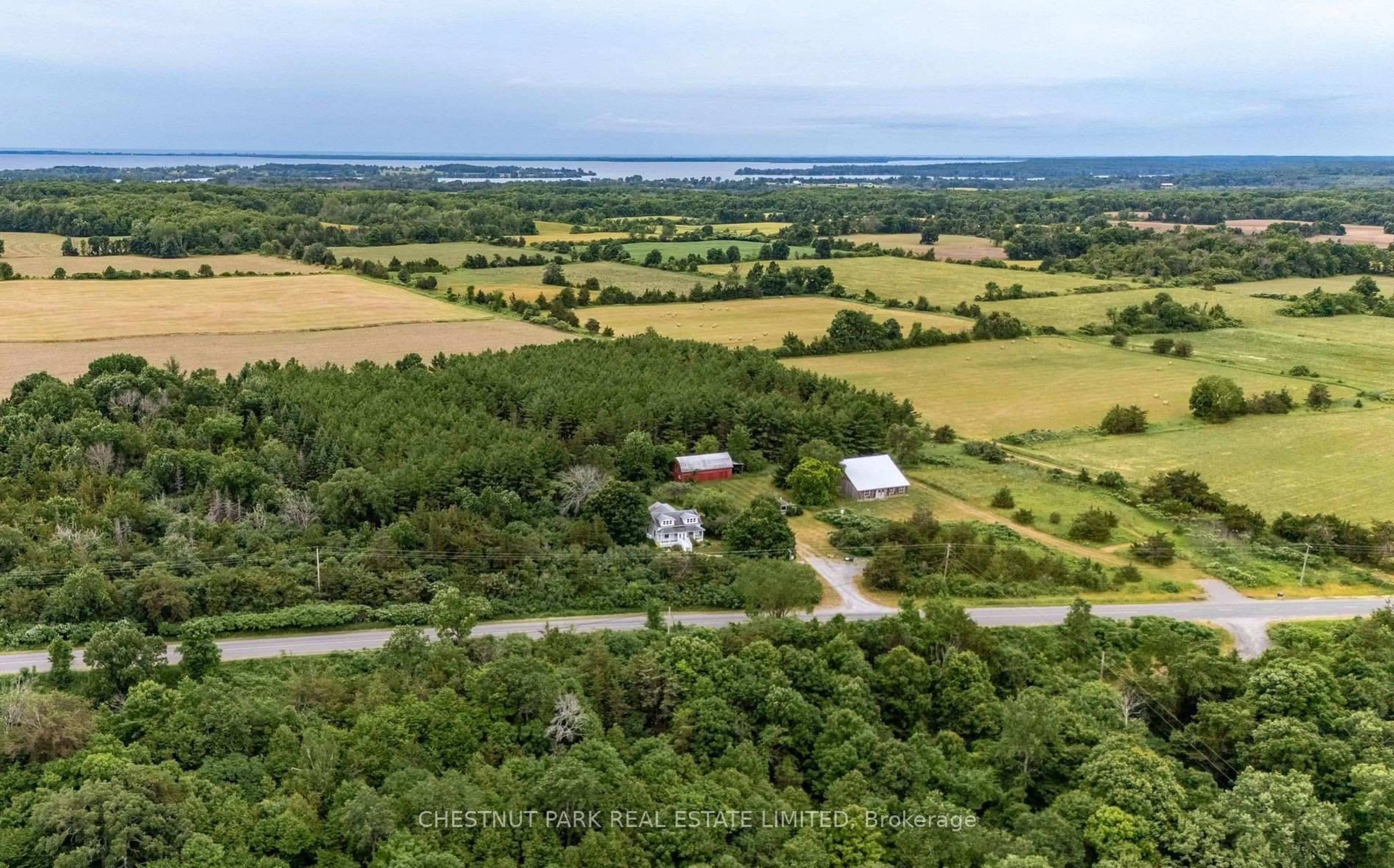 A pic from outside/outdoor area/front of a property/back of a property/a pic from drone, forest/trees view for 1472 County Rd 7 Rd, Prince Edward County Ontario K0K 2T0
