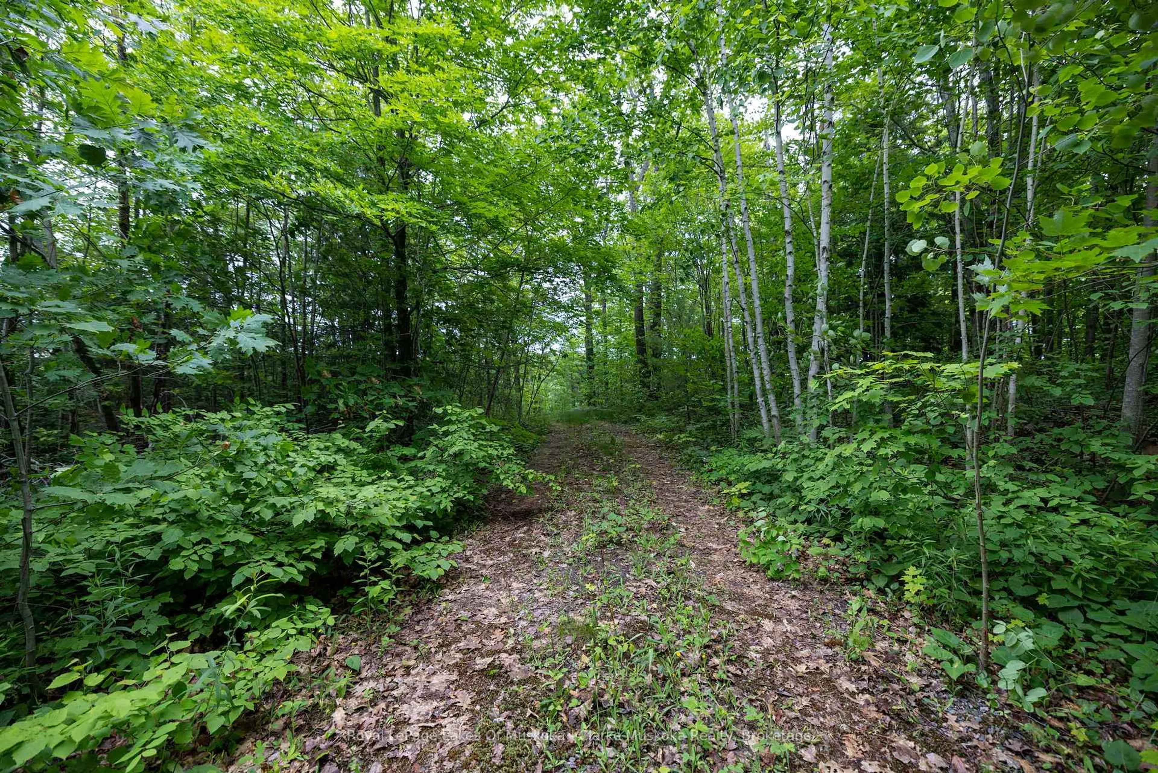 Unknown for 173 612 Highway, Seguin Ontario P0C 1H0