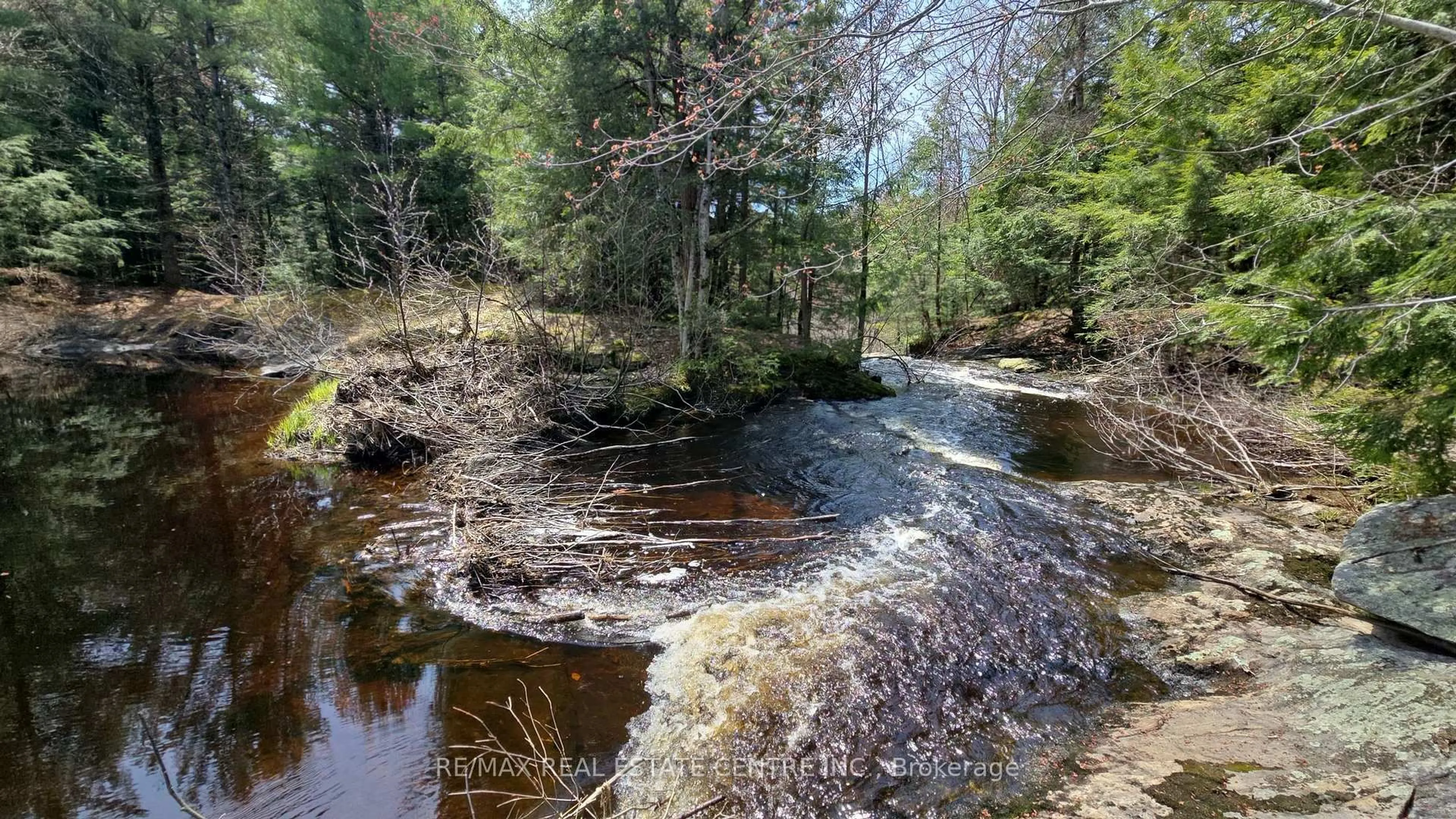 Blurry image for 1033 North Shore Dr, Gravenhurst Ontario P1P 1R1