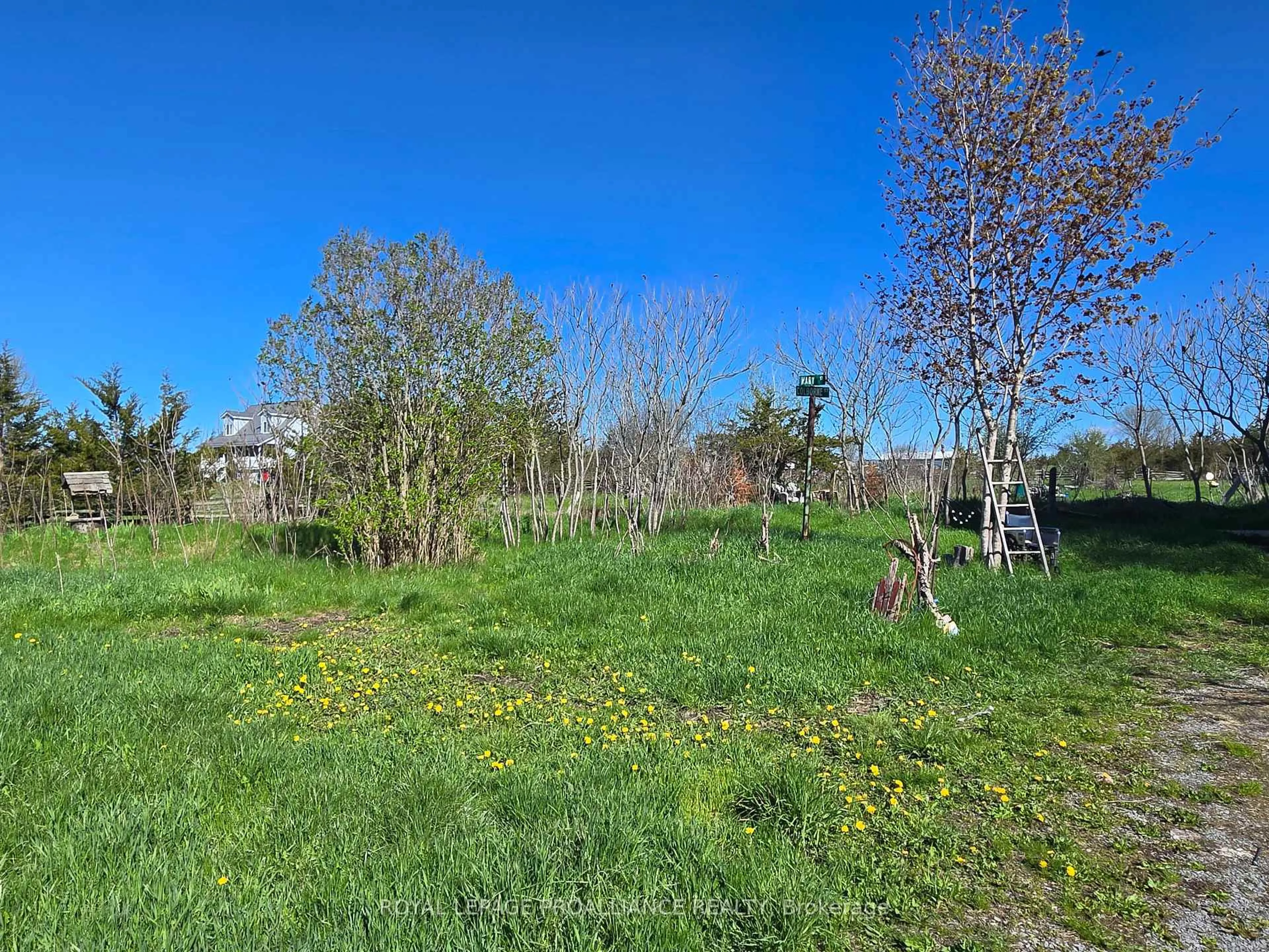 A pic from outside/outdoor area/front of a property/back of a property/a pic from drone, forest/trees view for 3161 Blessington Rd, Shannonville Ontario K0K 3A0
