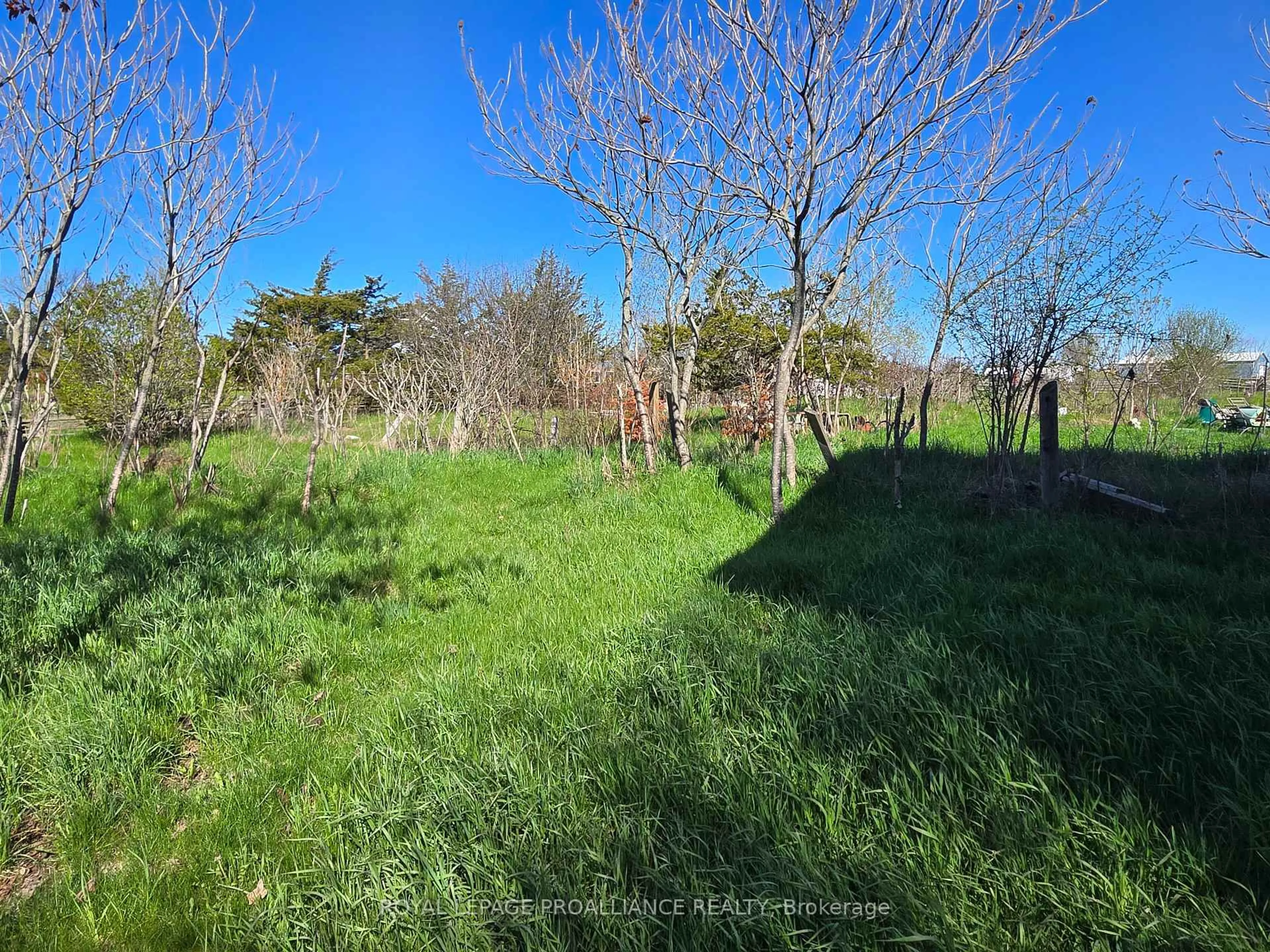 A pic from outside/outdoor area/front of a property/back of a property/a pic from drone, forest/trees view for 3161 Blessington Rd, Shannonville Ontario K0K 3A0