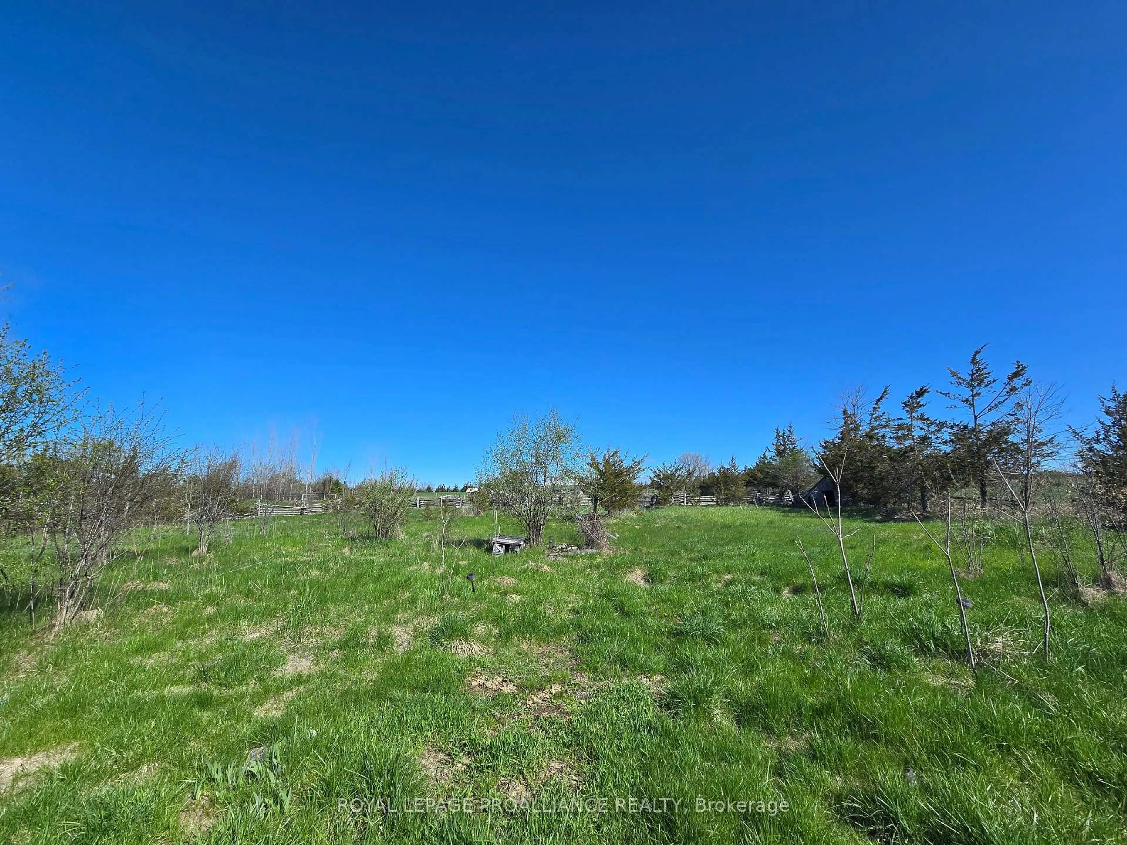 A pic from outside/outdoor area/front of a property/back of a property/a pic from drone, forest/trees view for 3161 Blessington Rd, Shannonville Ontario K0K 3A0