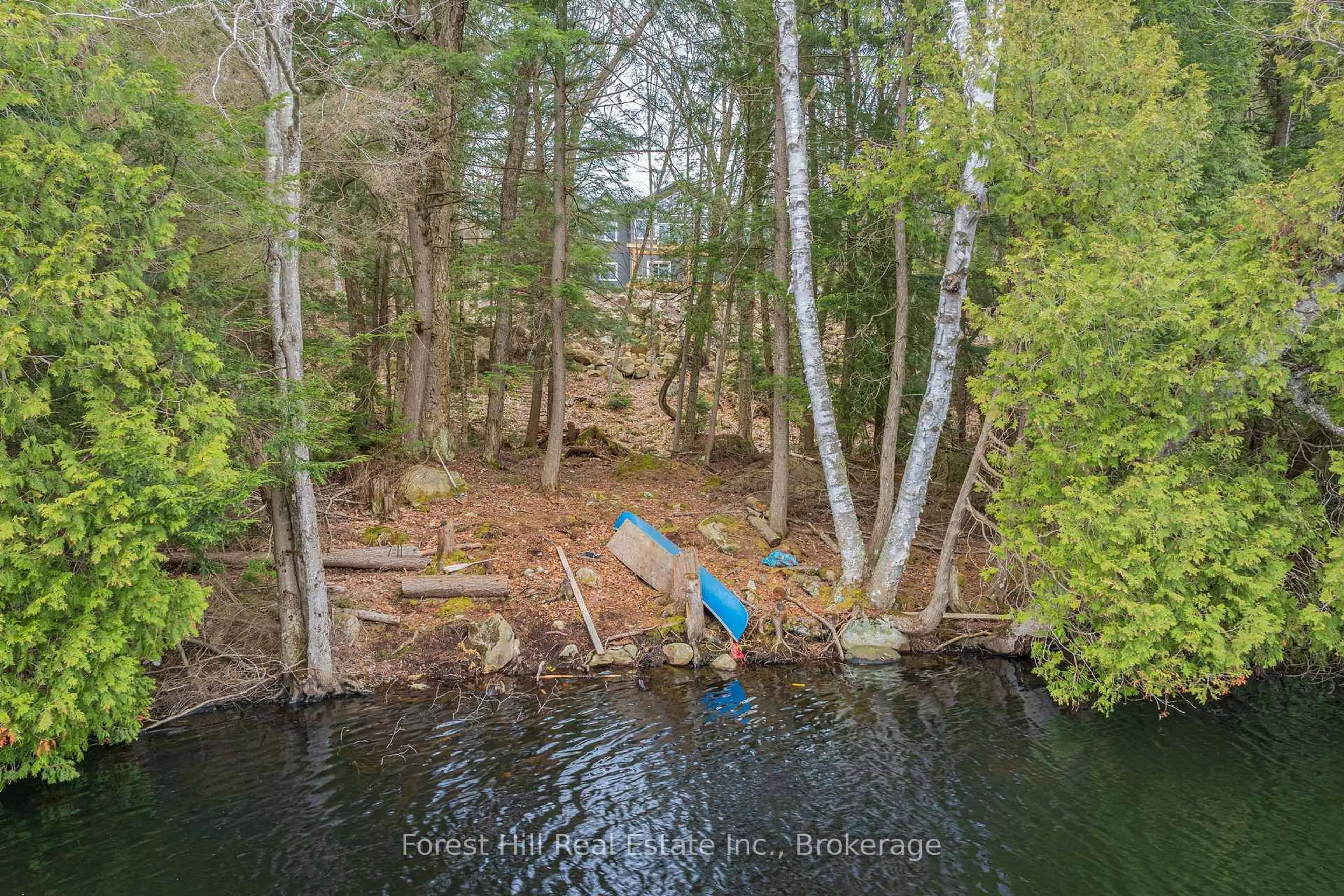 A pic from outside/outdoor area/front of a property/back of a property/a pic from drone, forest/trees view for 1-1269 S Ril Lake Rd, Lake of Bays Ontario P0B 1A0