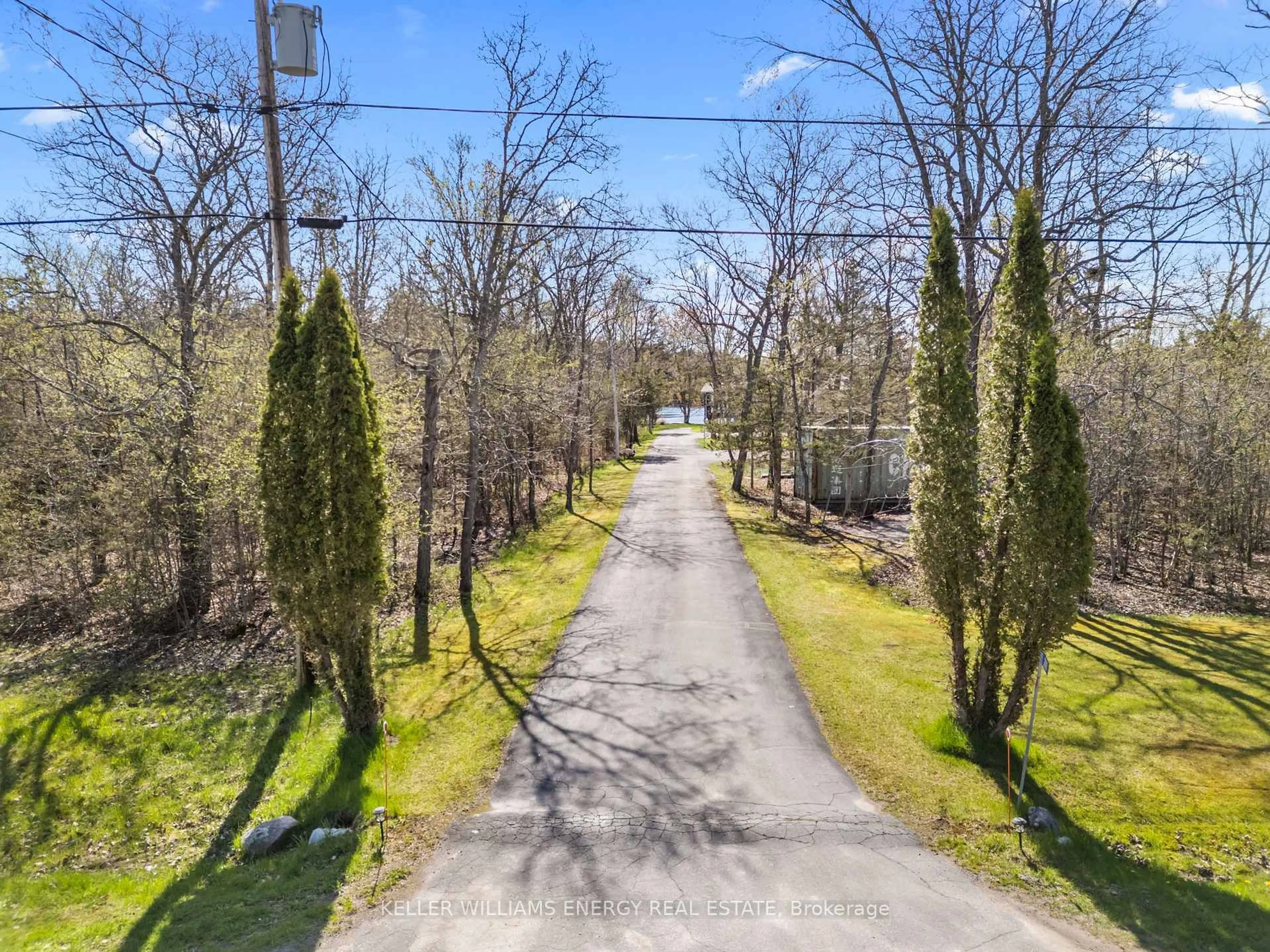A pic from outside/outdoor area/front of a property/back of a property/a pic from drone, forest/trees view for 269 Hillside Dr, Trent Hills Ontario K0L 1L0