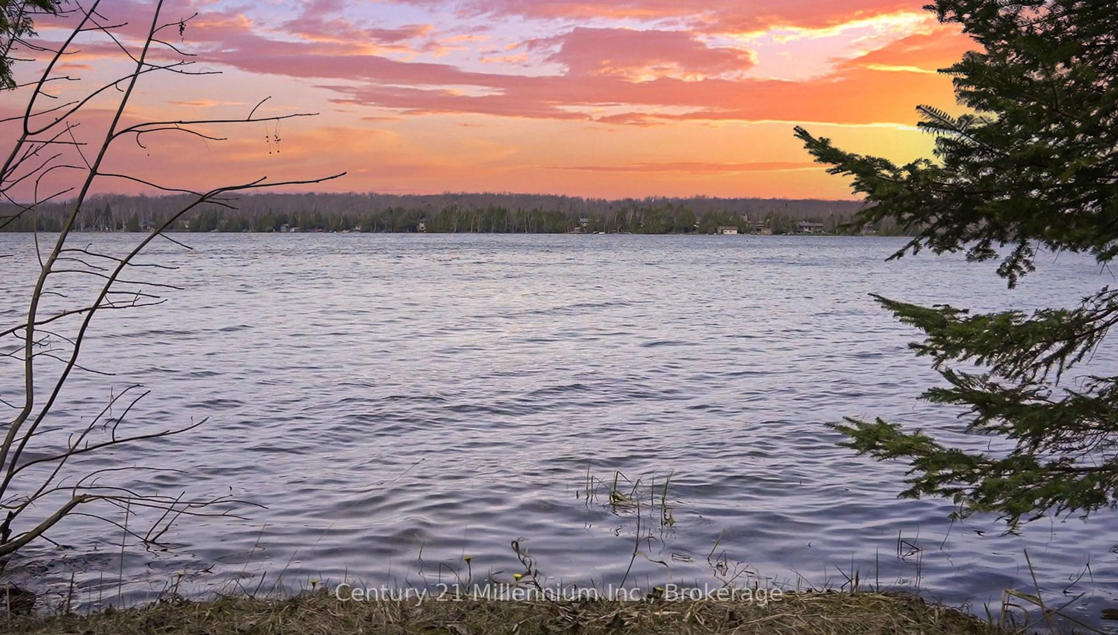 Blurry image for 149 Tammy's Cove Rd, Northern Bruce Peninsula Ontario N0H 1W0