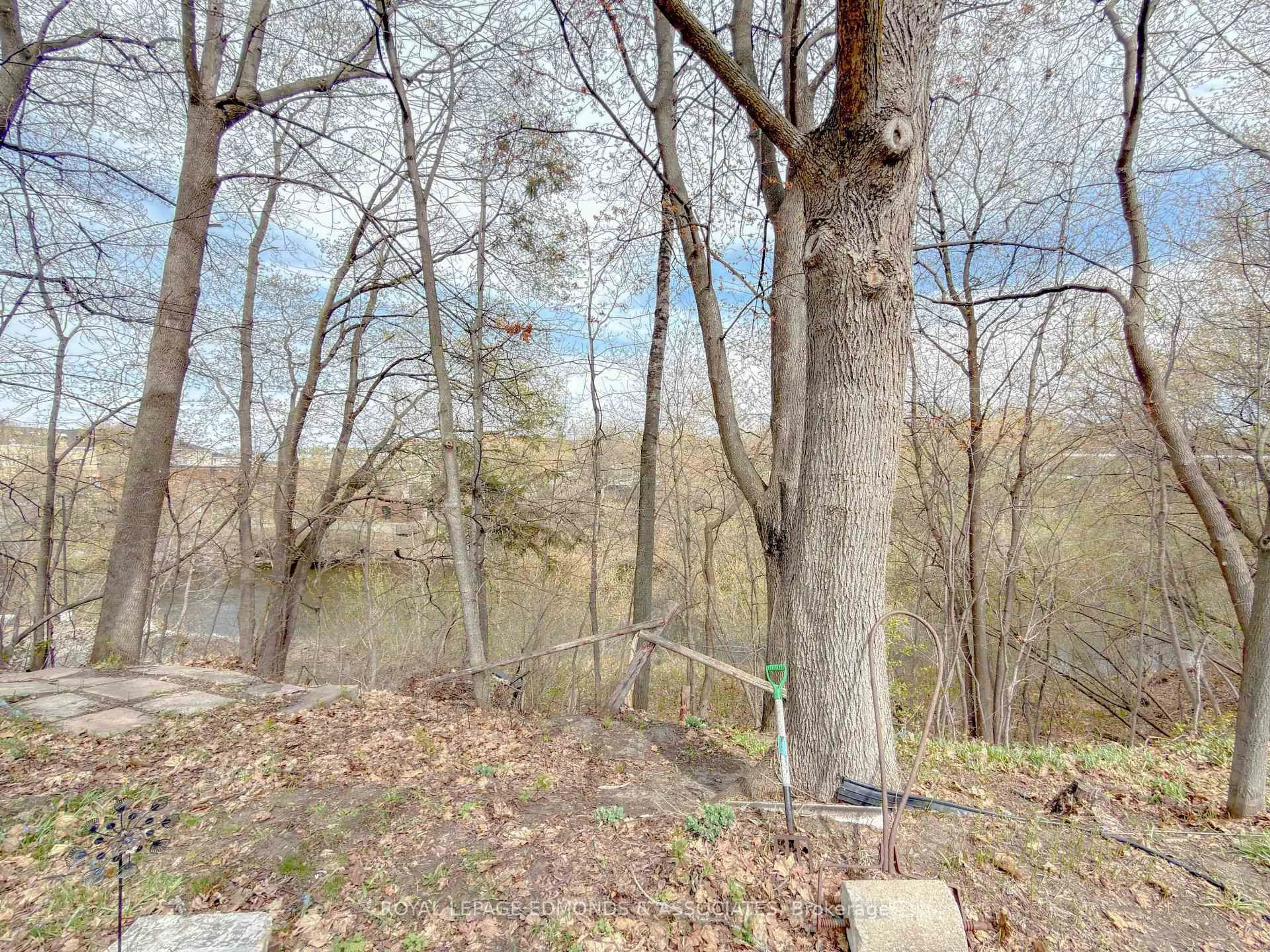A pic from outside/outdoor area/front of a property/back of a property/a pic from drone, forest/trees view for 247 Victoria St, Pembroke Ontario K8A 4K5