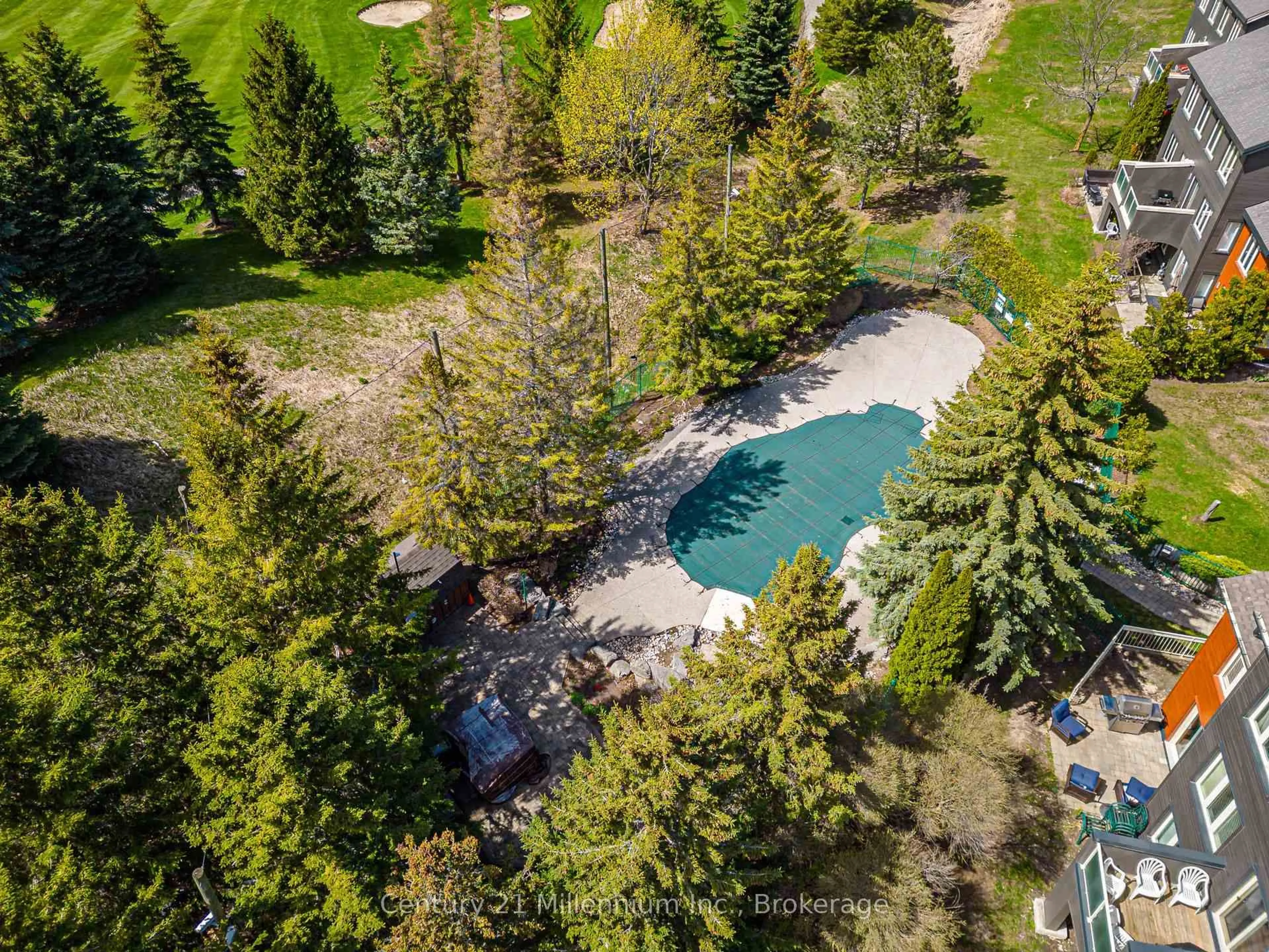 A pic from outside/outdoor area/front of a property/back of a property/a pic from drone, forest/trees view for 110 Fairway Crt #105, Blue Mountains Ontario L9Y 0P8