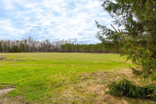 Lot 2 Centennial, East Ferris 4
