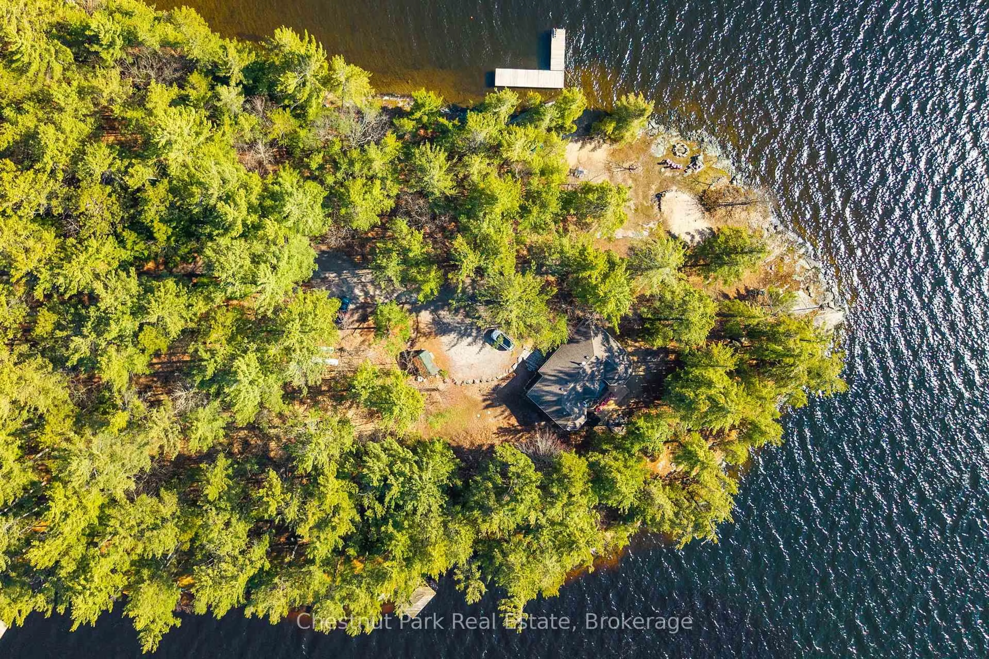 A pic from outside/outdoor area/front of a property/back of a property/a pic from drone, water/lake/river/ocean view for 1226 Rosseau Lake Road 3 Rd, Muskoka Lakes Ontario P0B 1M0