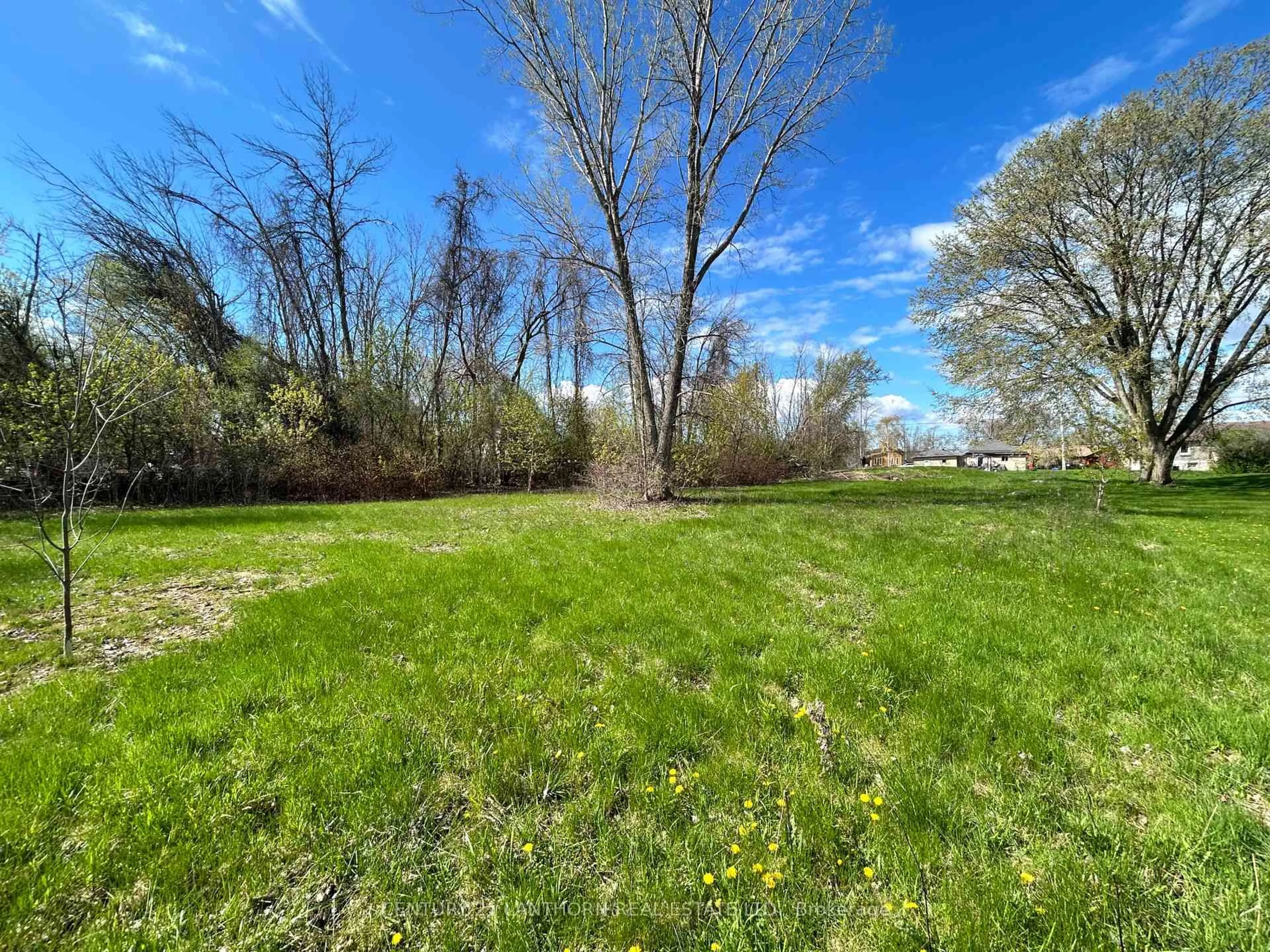A pic from outside/outdoor area/front of a property/back of a property/a pic from drone, forest/trees view for 784 County Road 28, Prince Edward County Ontario K8N 4Z7
