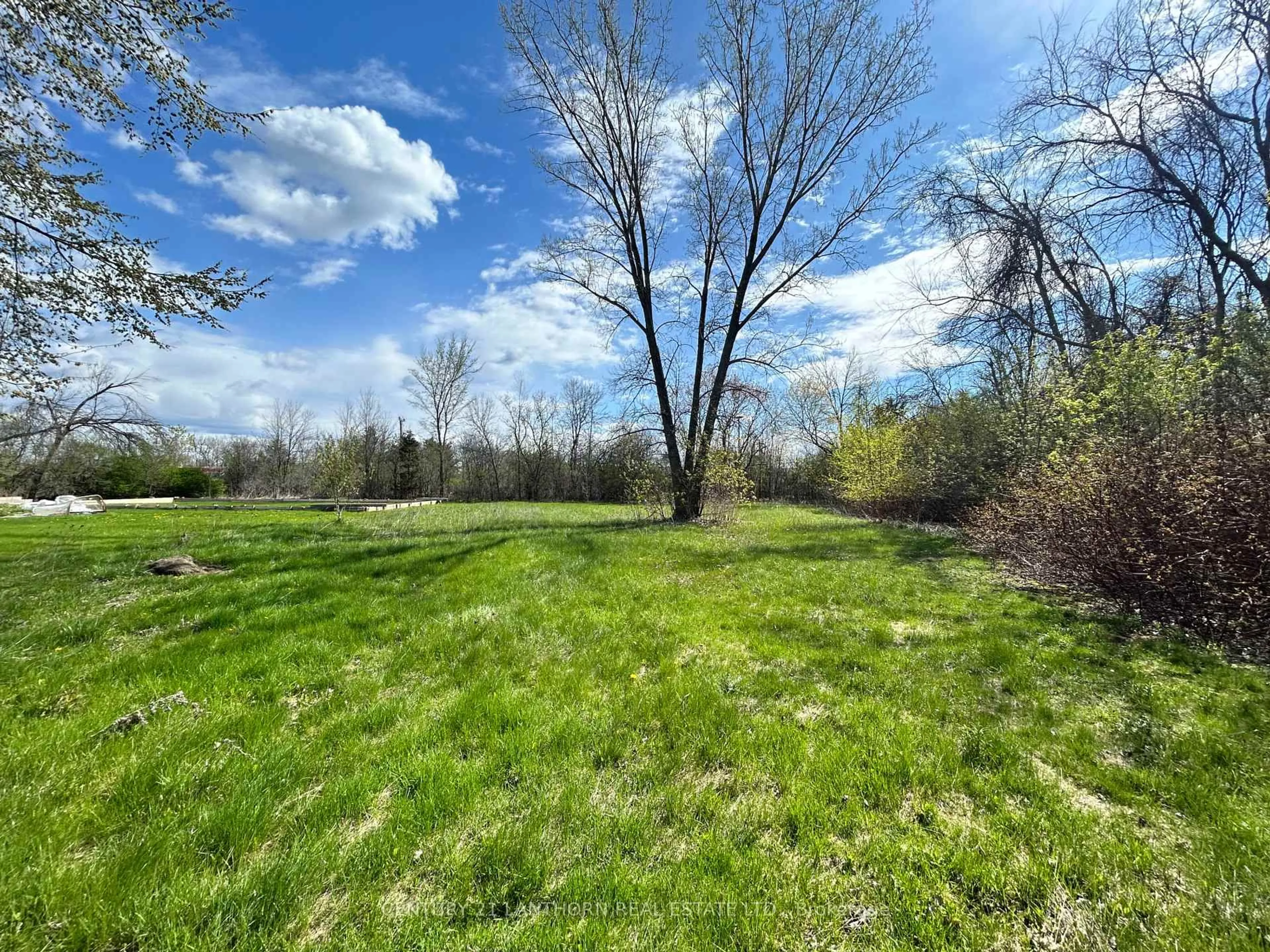 A pic from outside/outdoor area/front of a property/back of a property/a pic from drone, forest/trees view for 784 County Road 28, Prince Edward County Ontario K8N 4Z7