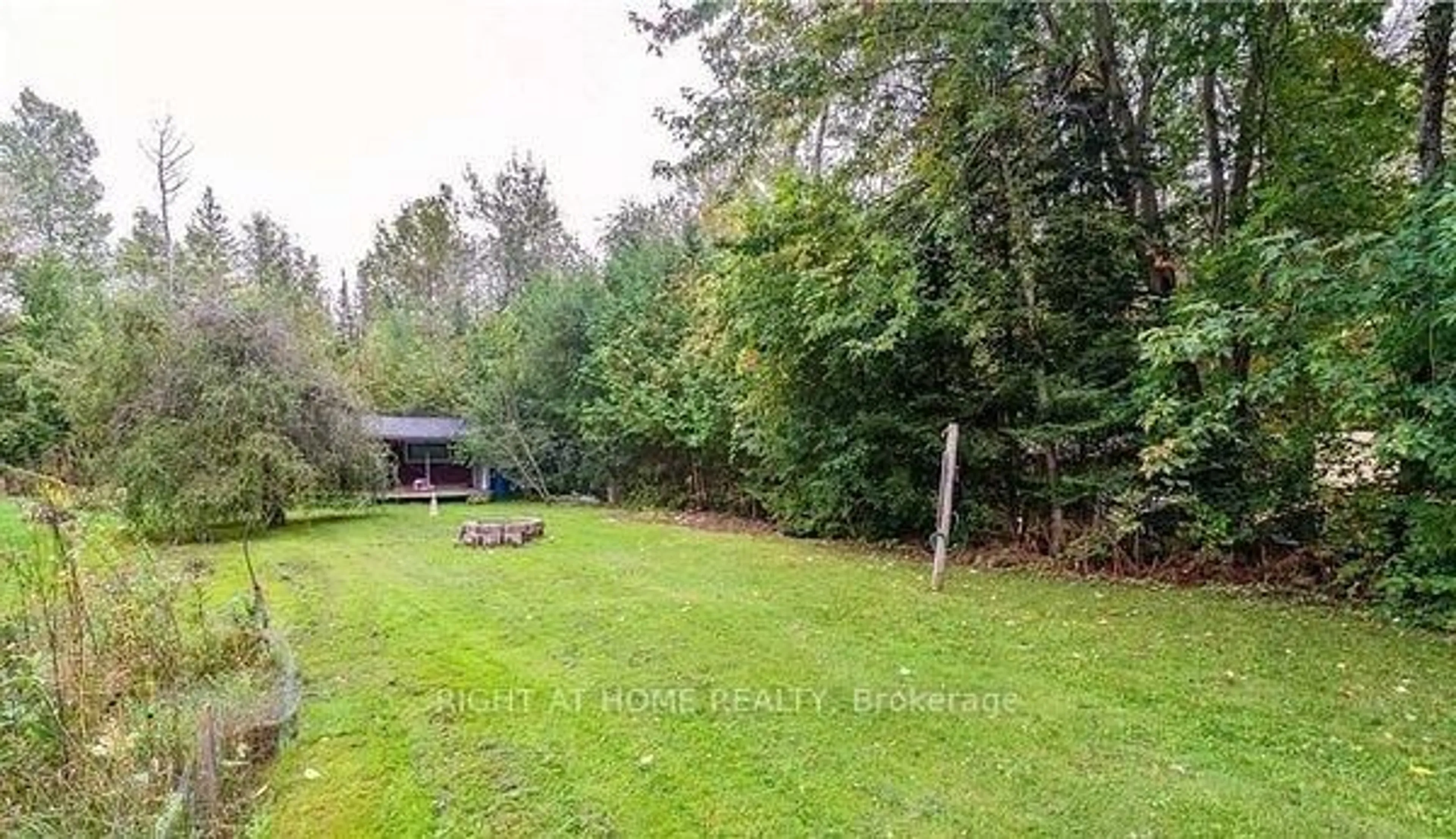 A pic from outside/outdoor area/front of a property/back of a property/a pic from drone, forest/trees view for 71 Antiquary Rd, Kawartha Lakes Ontario K0M 2T0