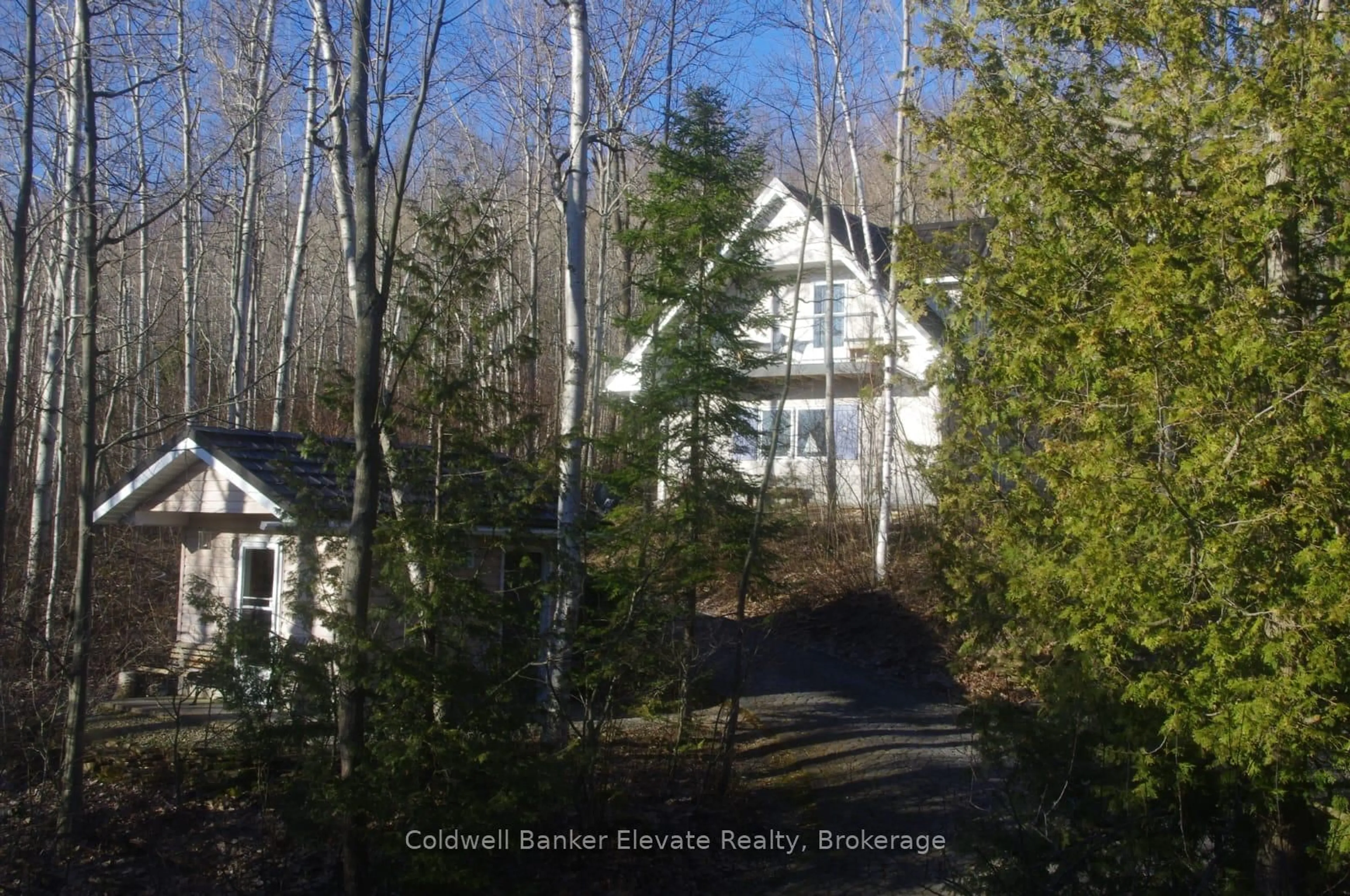 A pic from outside/outdoor area/front of a property/back of a property/a pic from drone, forest/trees view for 504553 Grey 1 Rd, Georgian Bluffs Ontario N0H 2T0
