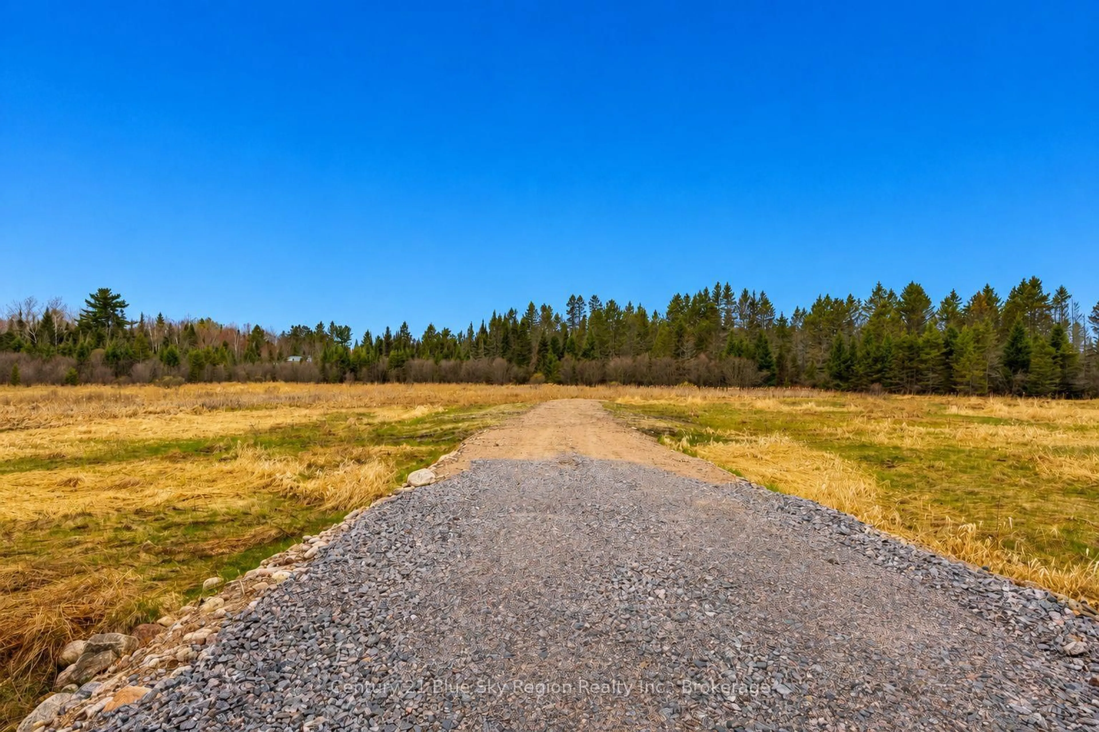 A pic from outside/outdoor area/front of a property/back of a property/a pic from drone, forest/trees view for 1185 CORBEIL Rd, East Ferris Ontario P0H 1K0